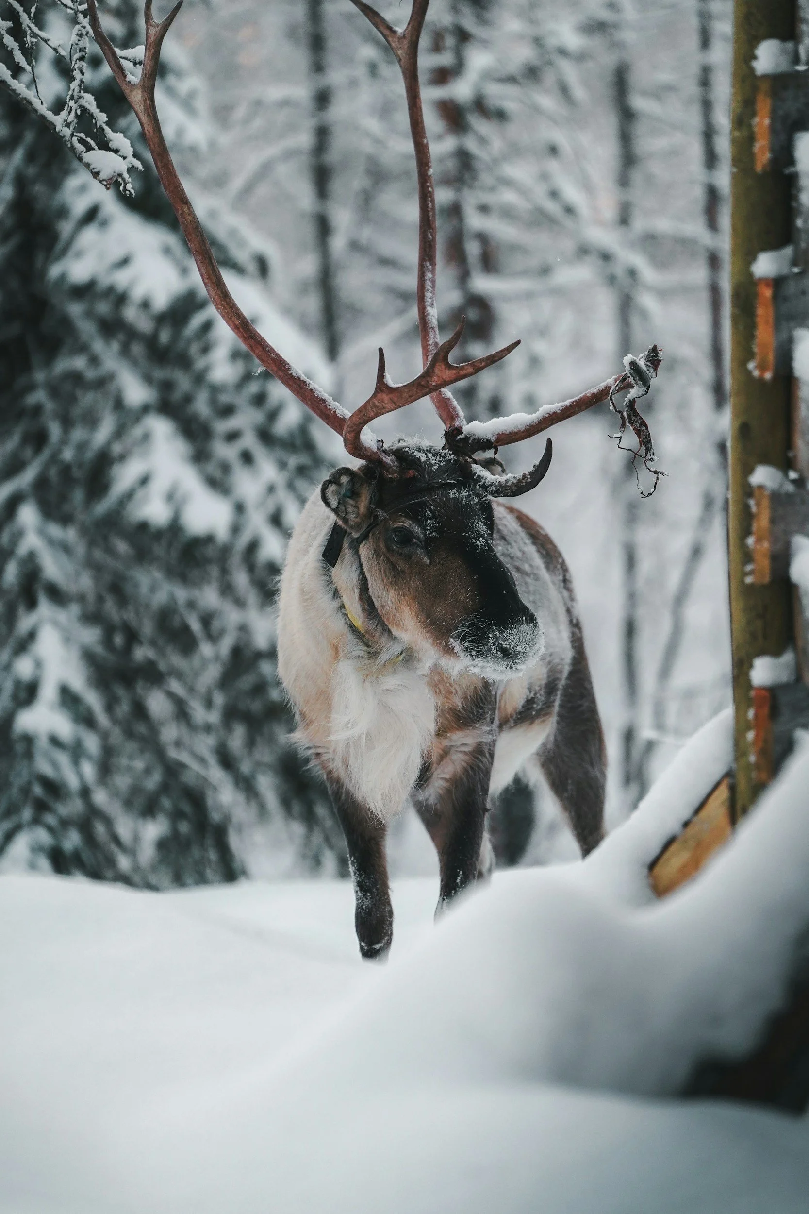 unsplash-image-e76hkVUgNJ8.jpg