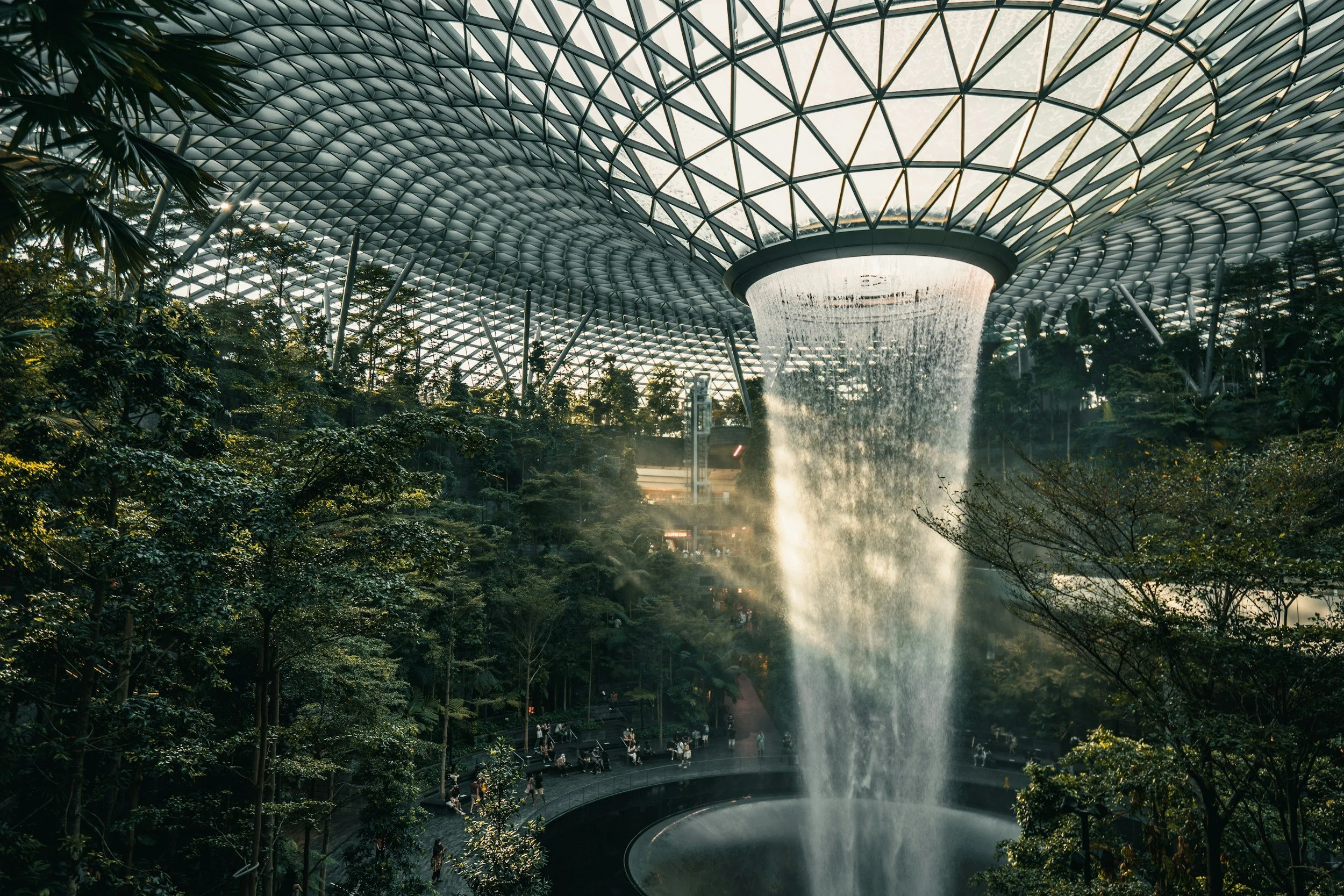 unsplash-image-hAWs6oHfhms.jpg
