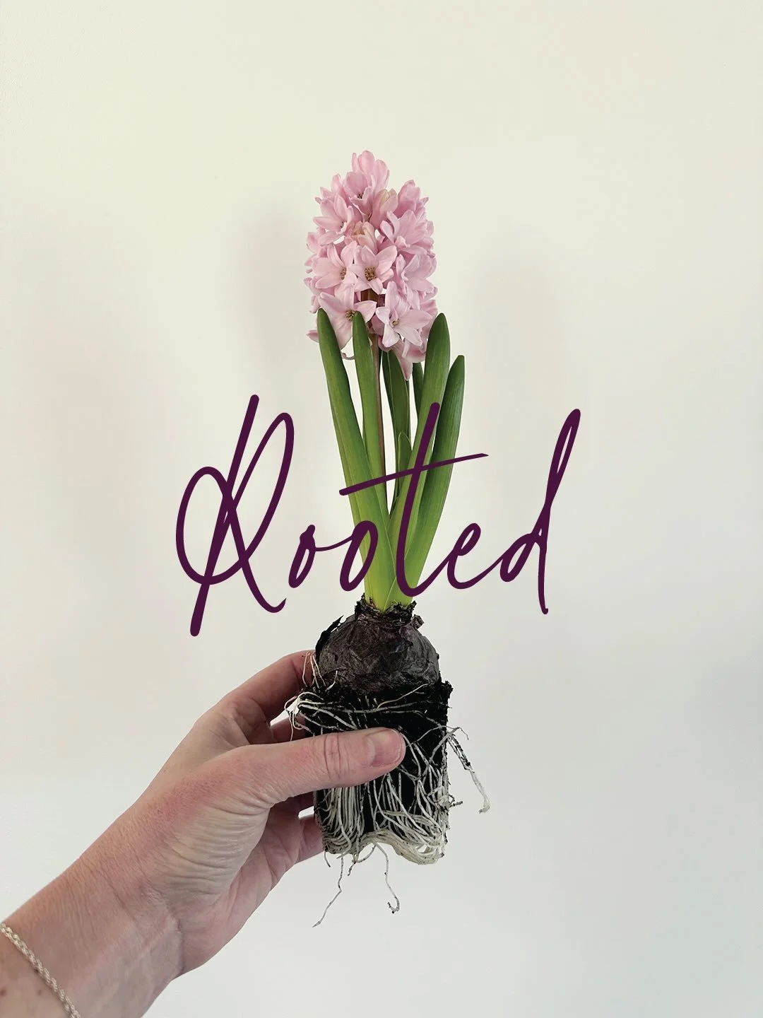 My guiding word for 2026 is Rooted 🌱

This year I plan to strengthen the foundations I&rsquo;ve already begun building for Wild Soul Flowers. I&rsquo;m giving myself permission to take baby steps, to trust how I work best - heart first, guided by in