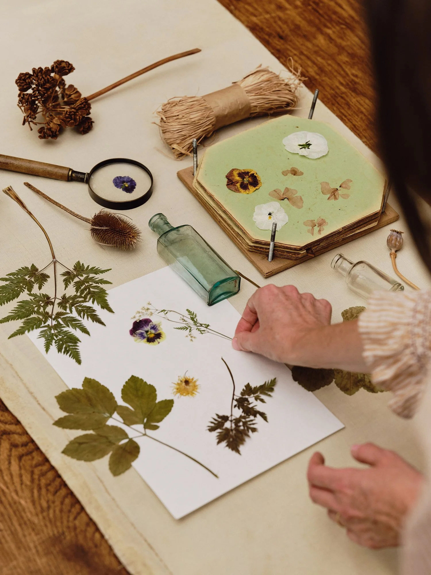 A person working on a botanical pressed flower craft project with various dried flowers, leaves, glass bottles, and a botanical print on a table.