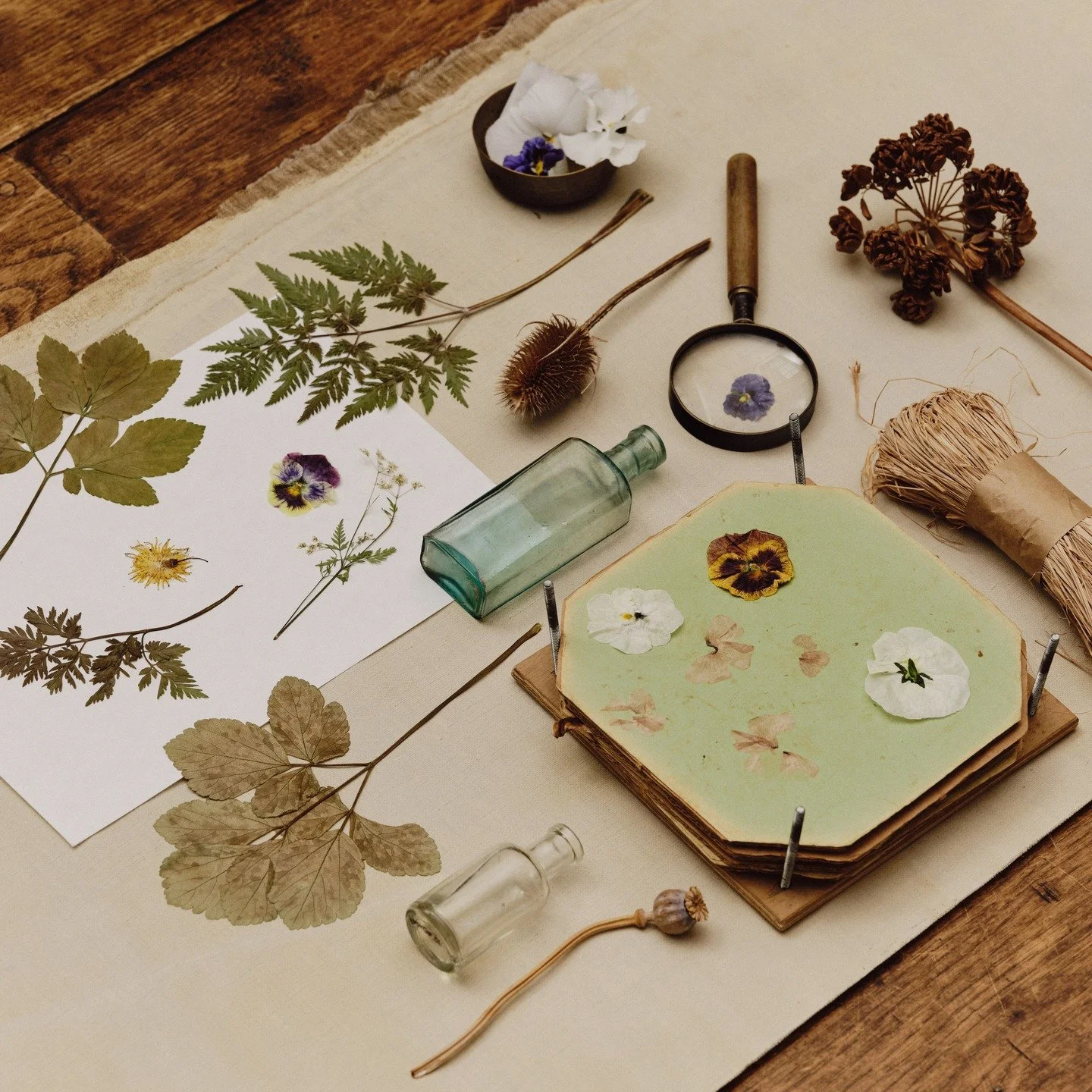 Apothecary

A wallpaper collection inspired by nature, folklore, and the English apothecary tradition.

Pressed leaves and flowers, gathered locally in Margate and preserved in pattern.
Inspired by nature, curated for people.

I&rsquo;m so proud to b