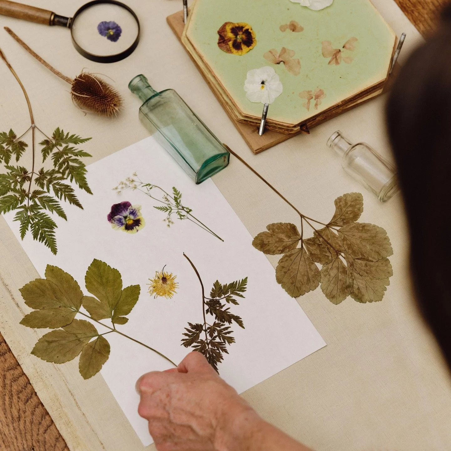 From pressed plants to pattern.

Apothecary.

Photography: @_beth_davis Styling: @nina.lilli.holden