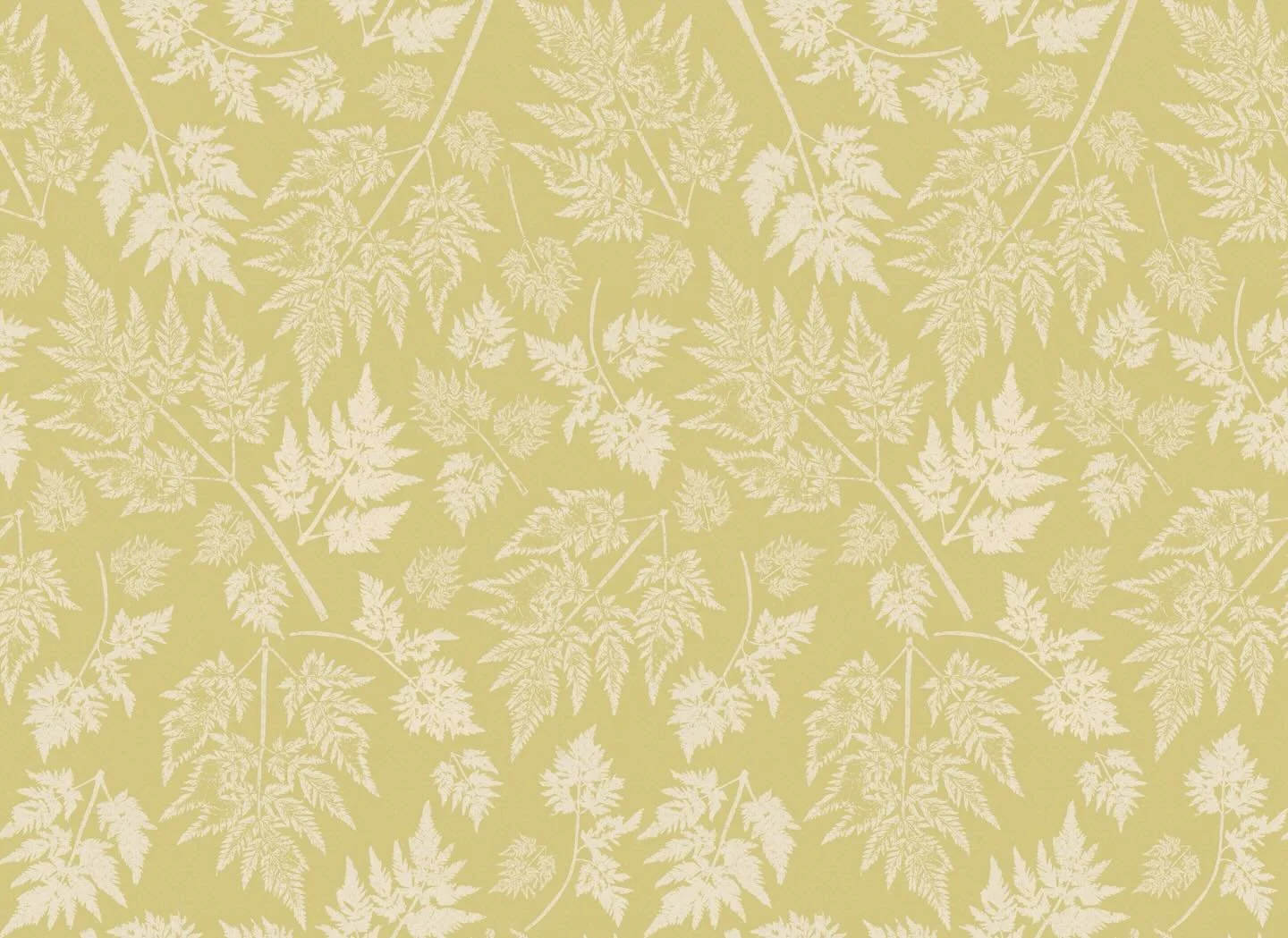 Early Elder

A colourway of the Parsley design, Early Elder combines soft sage with the palest suggestion of pink - so subtle it first reads as cream.

Rooted in seasonal change, its name nods to parsley&rsquo;s early spring appearance, just before e