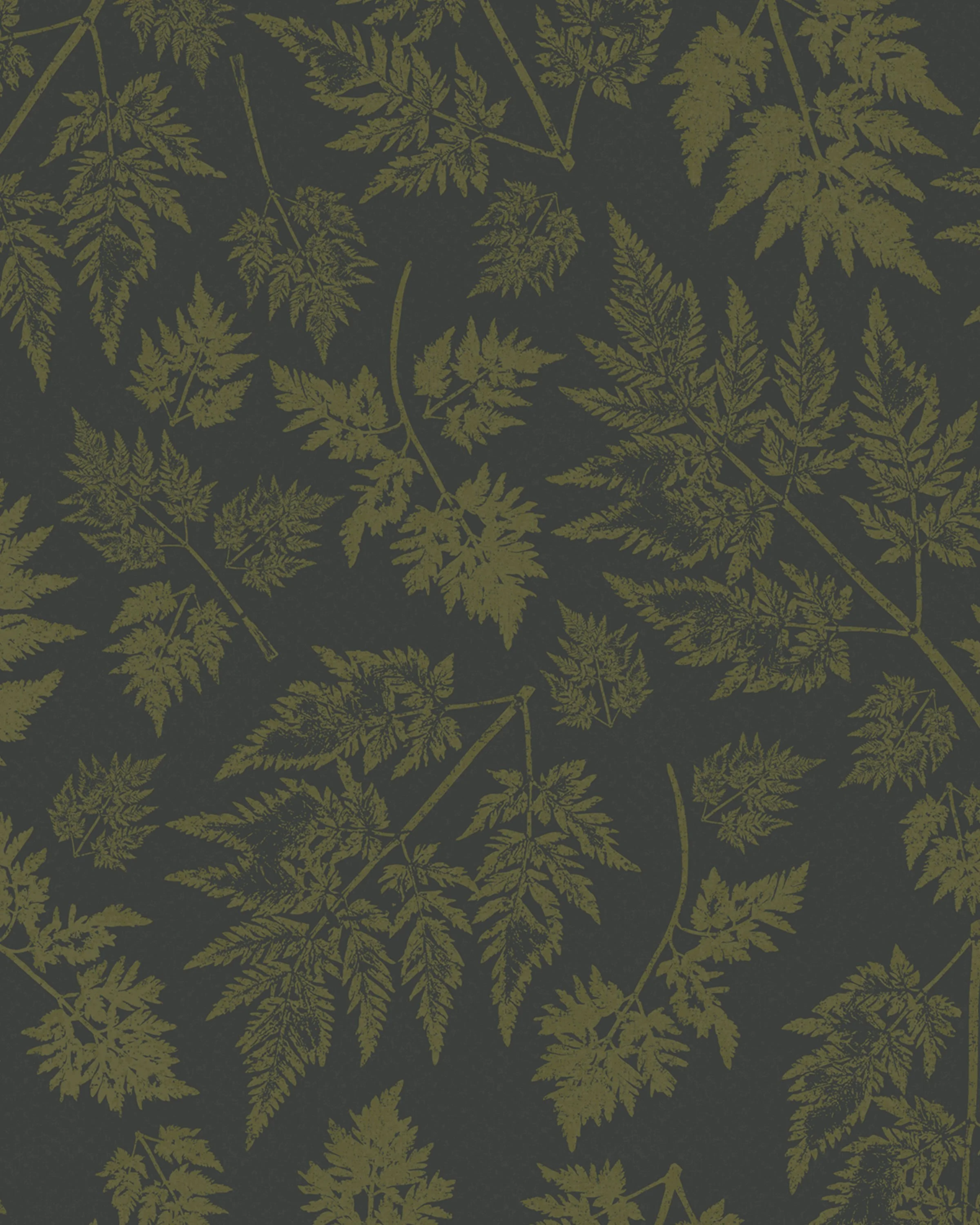 Parsley – Hedgerow