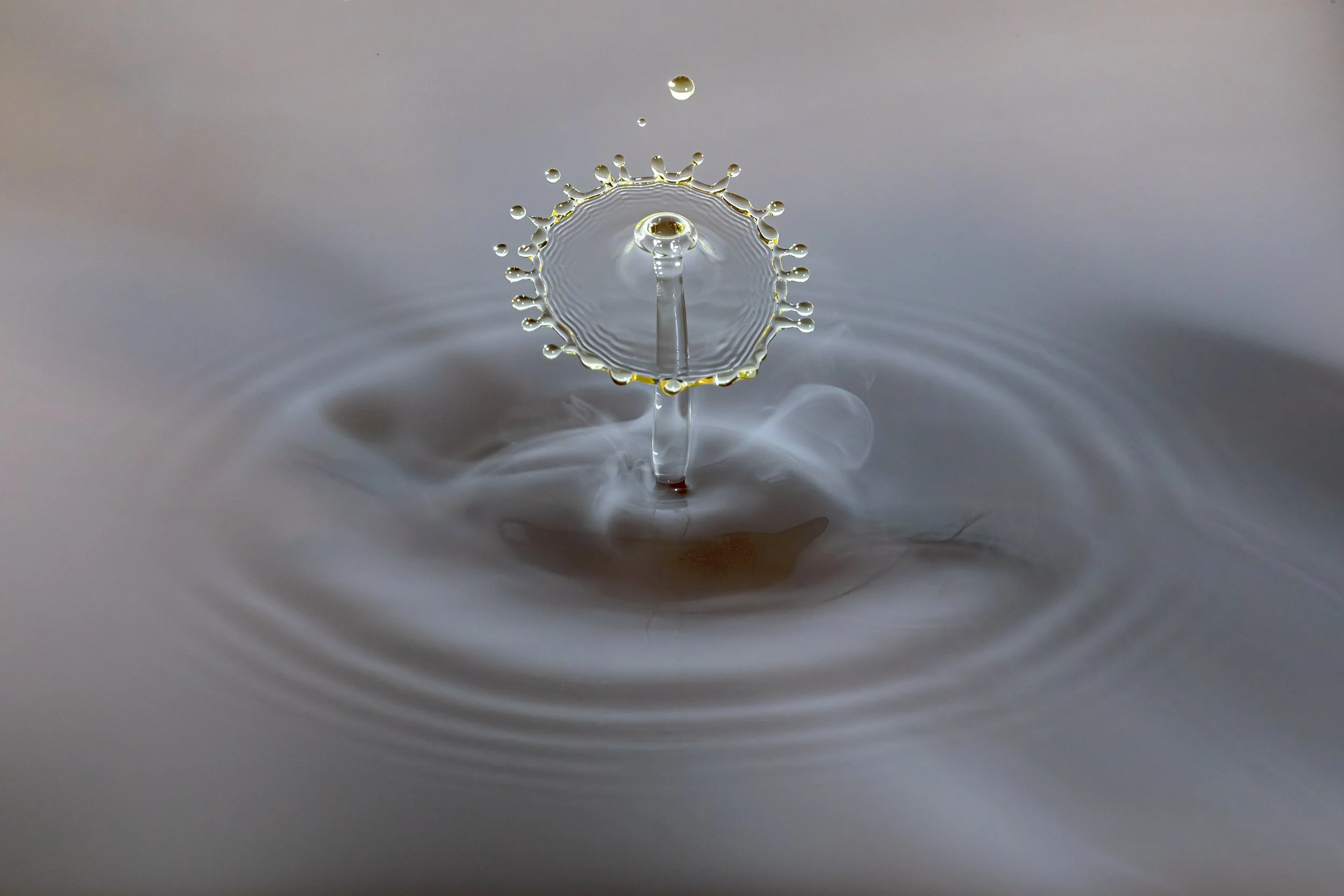 396A9111-Avec accentuation-Bruit-Modifier.jpg