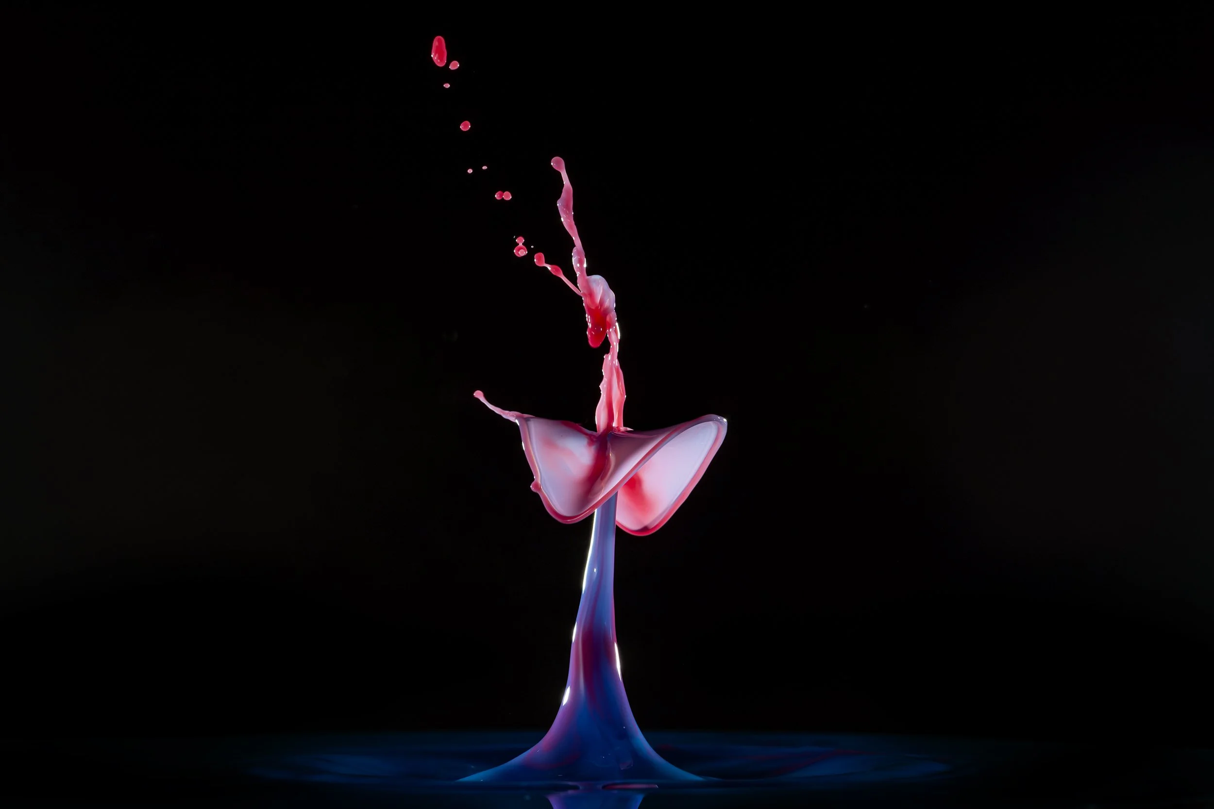 396A0300-Avec accentuation-Bruit-Modifier.jpg