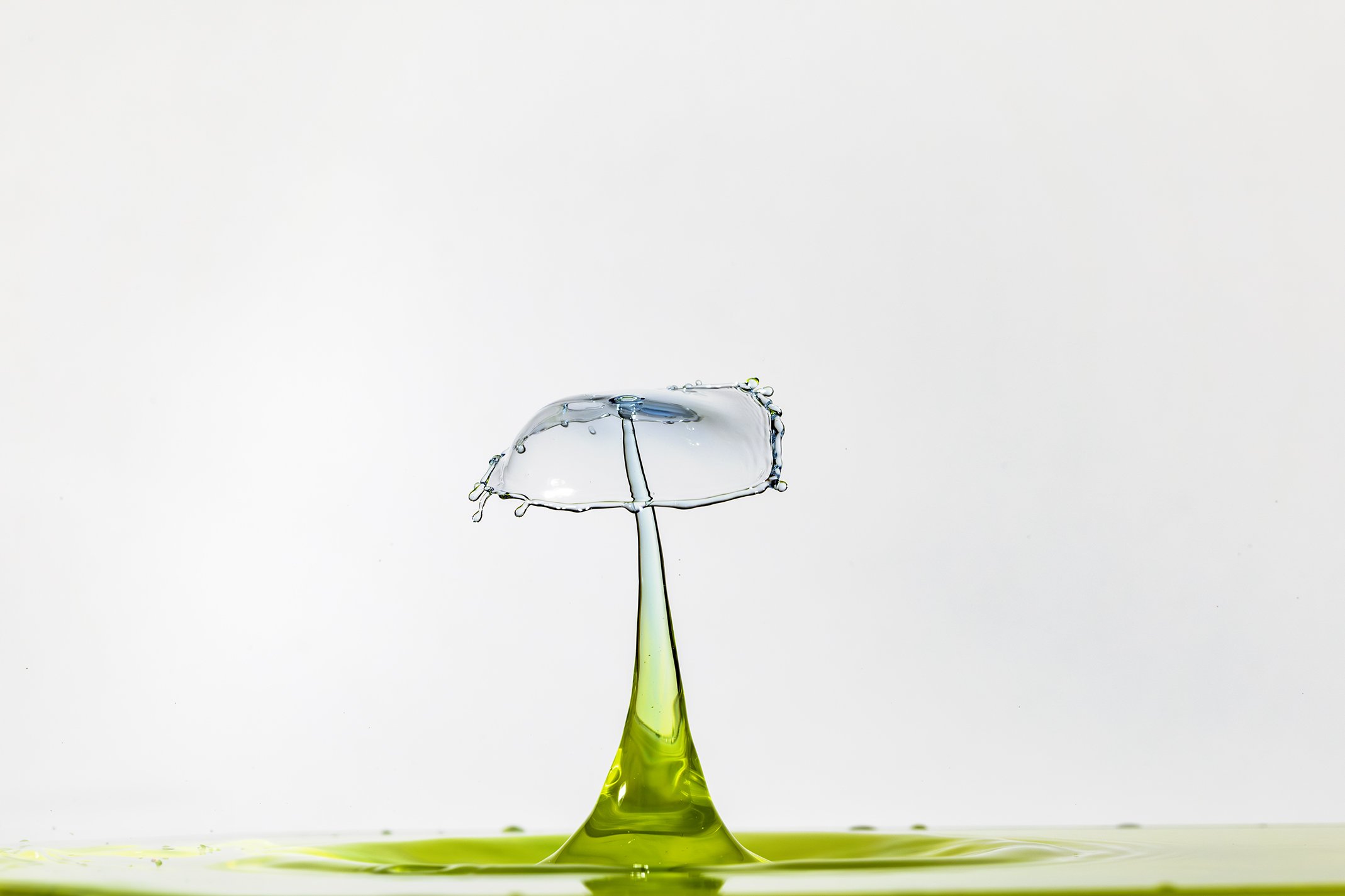 396A7422-Avec accentuation-Bruit-Modifier.jpg