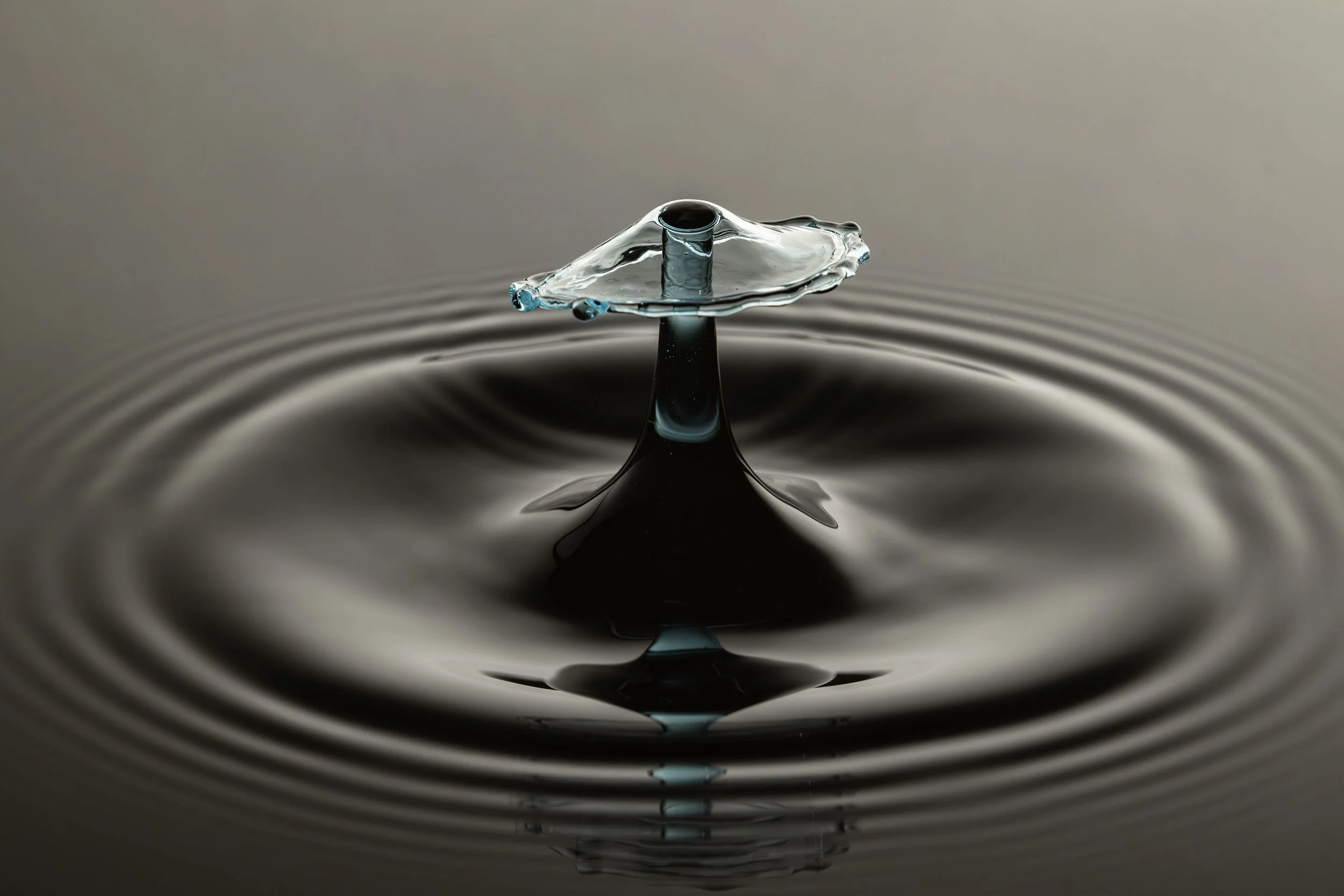 396A8345-Avec accentuation-Bruit-Modifier.jpg