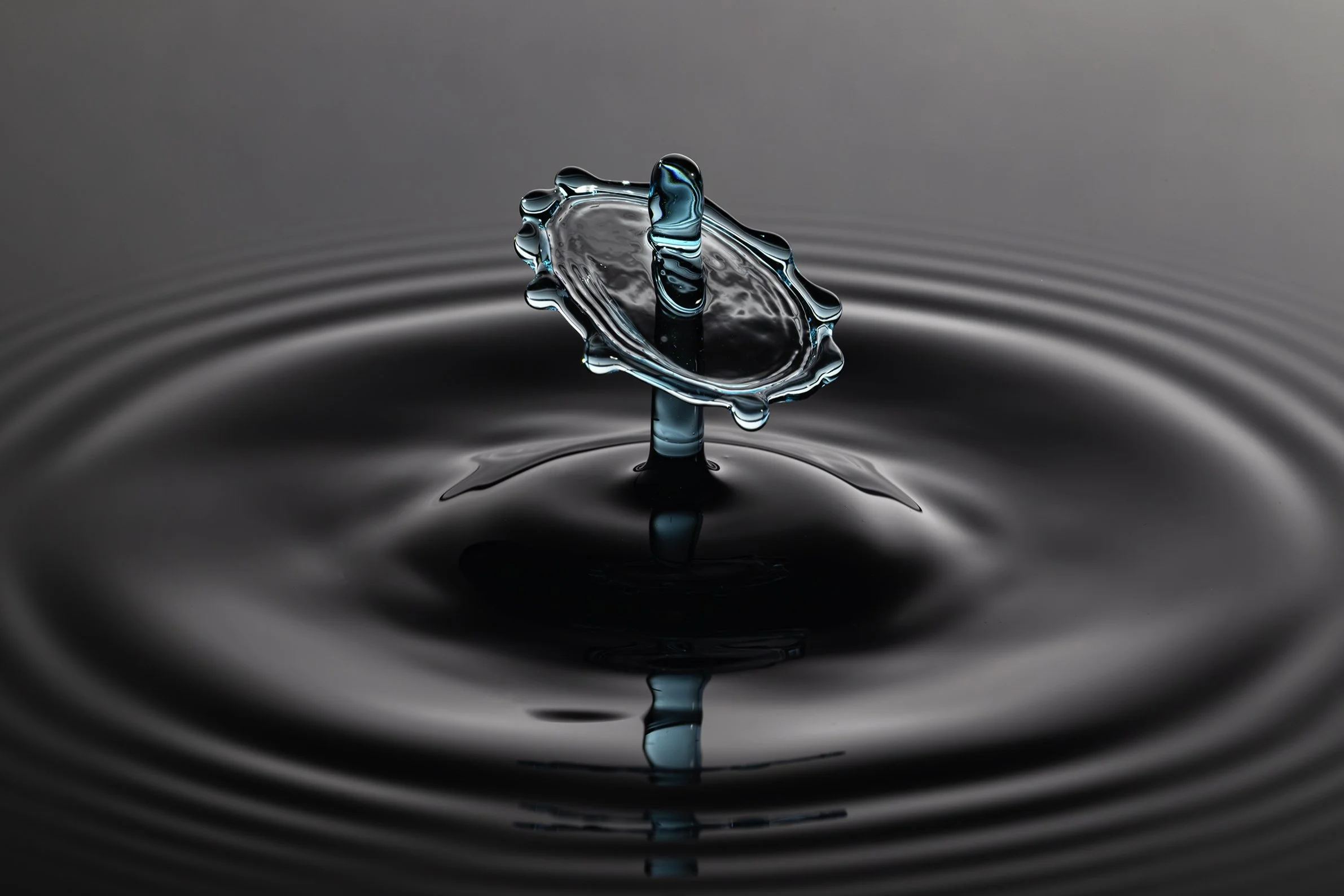 396A8428-Avec accentuation-Bruit-Modifier.jpg