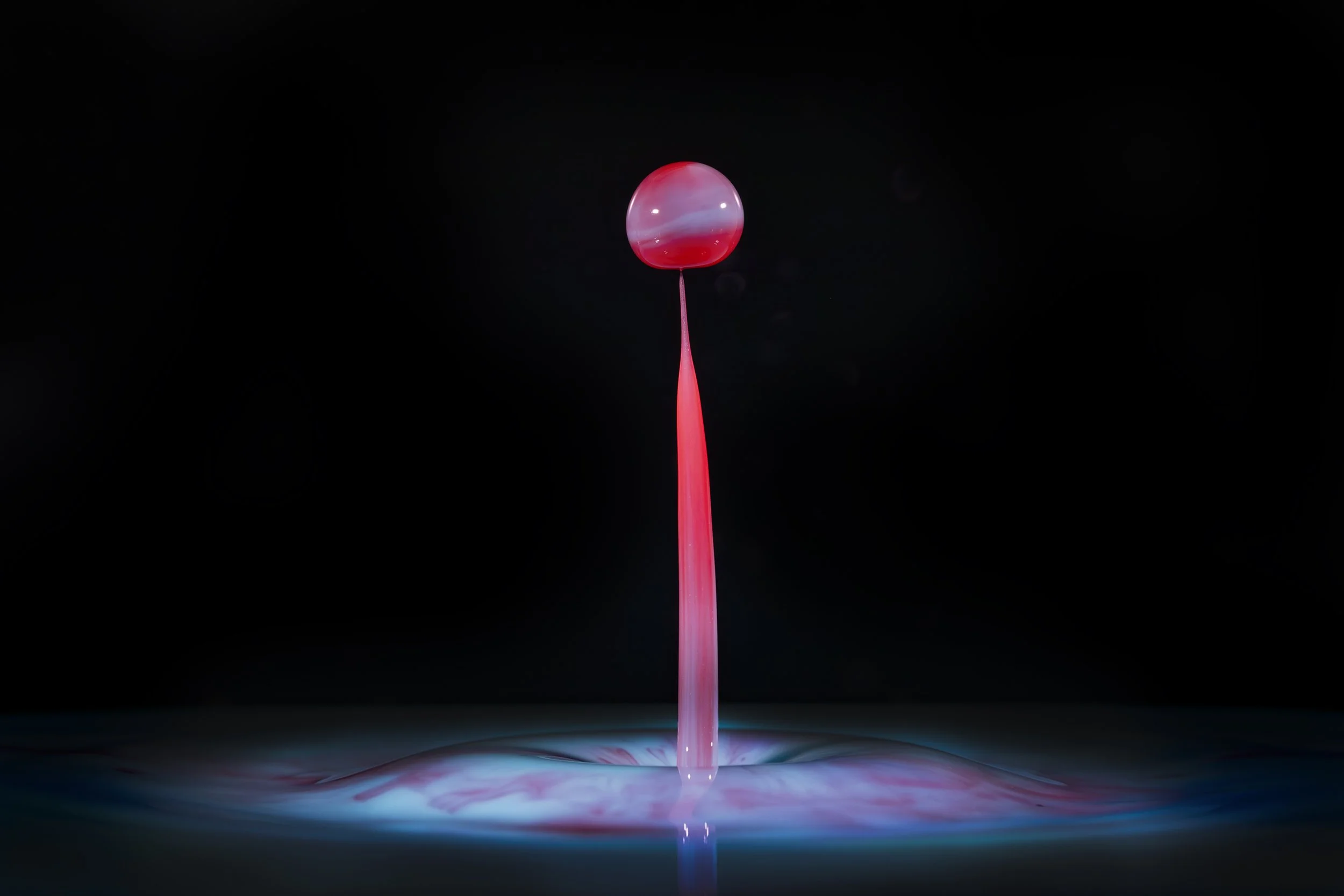 396A7154-Avec accentuation-Bruit-Modifier.jpg