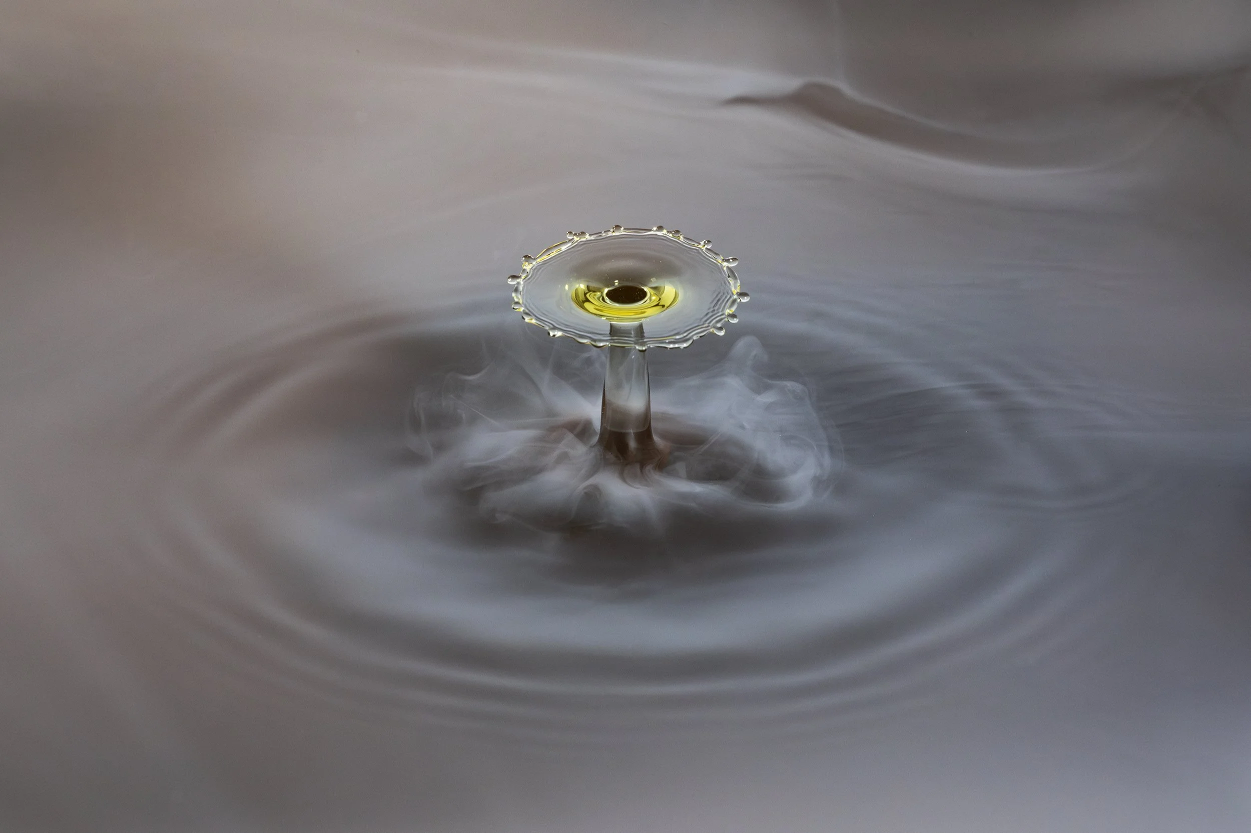 396A9079-Avec accentuation-Bruit-Modifier.jpg