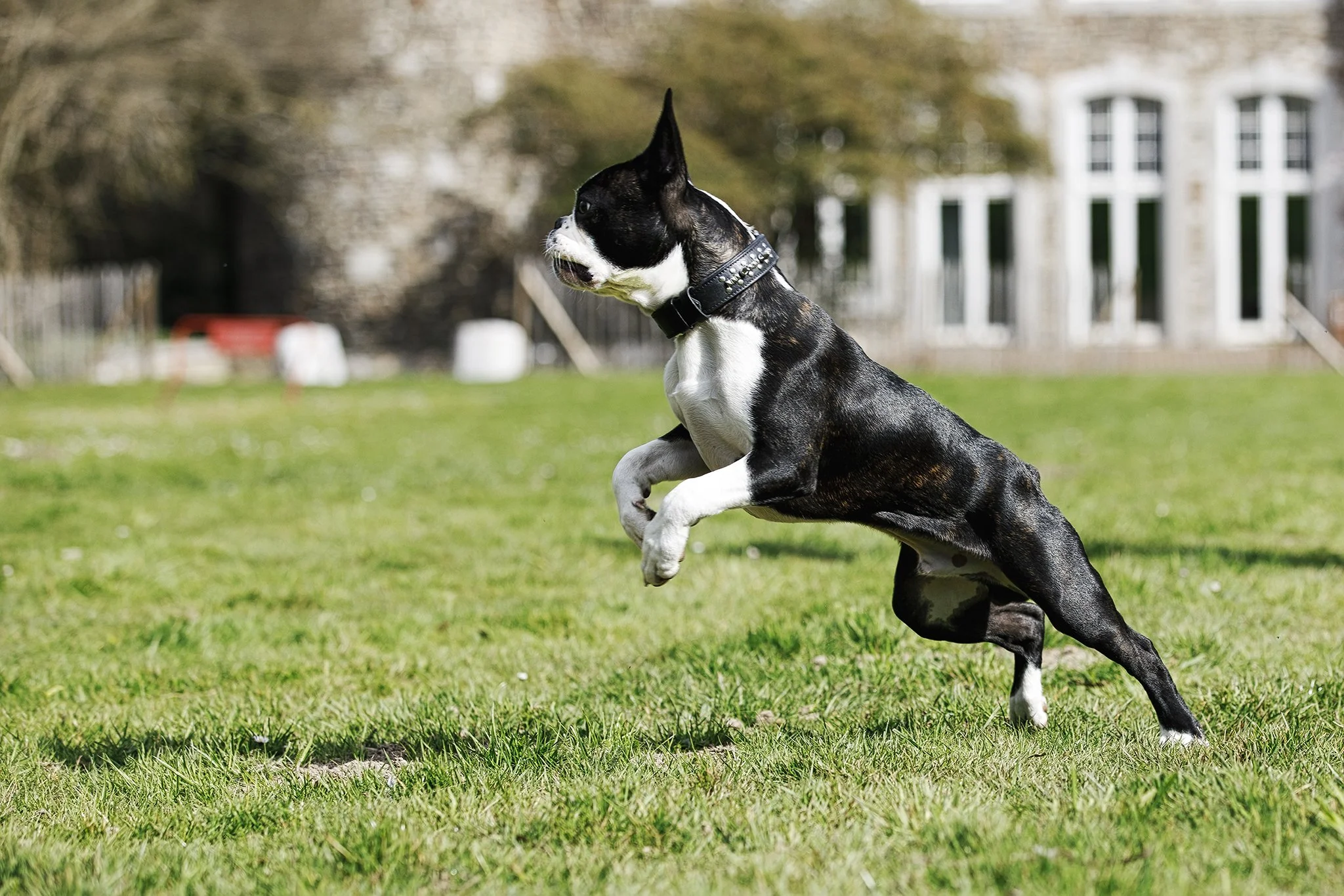 51095909525_e8c3a9bfa5_o (2).jpg