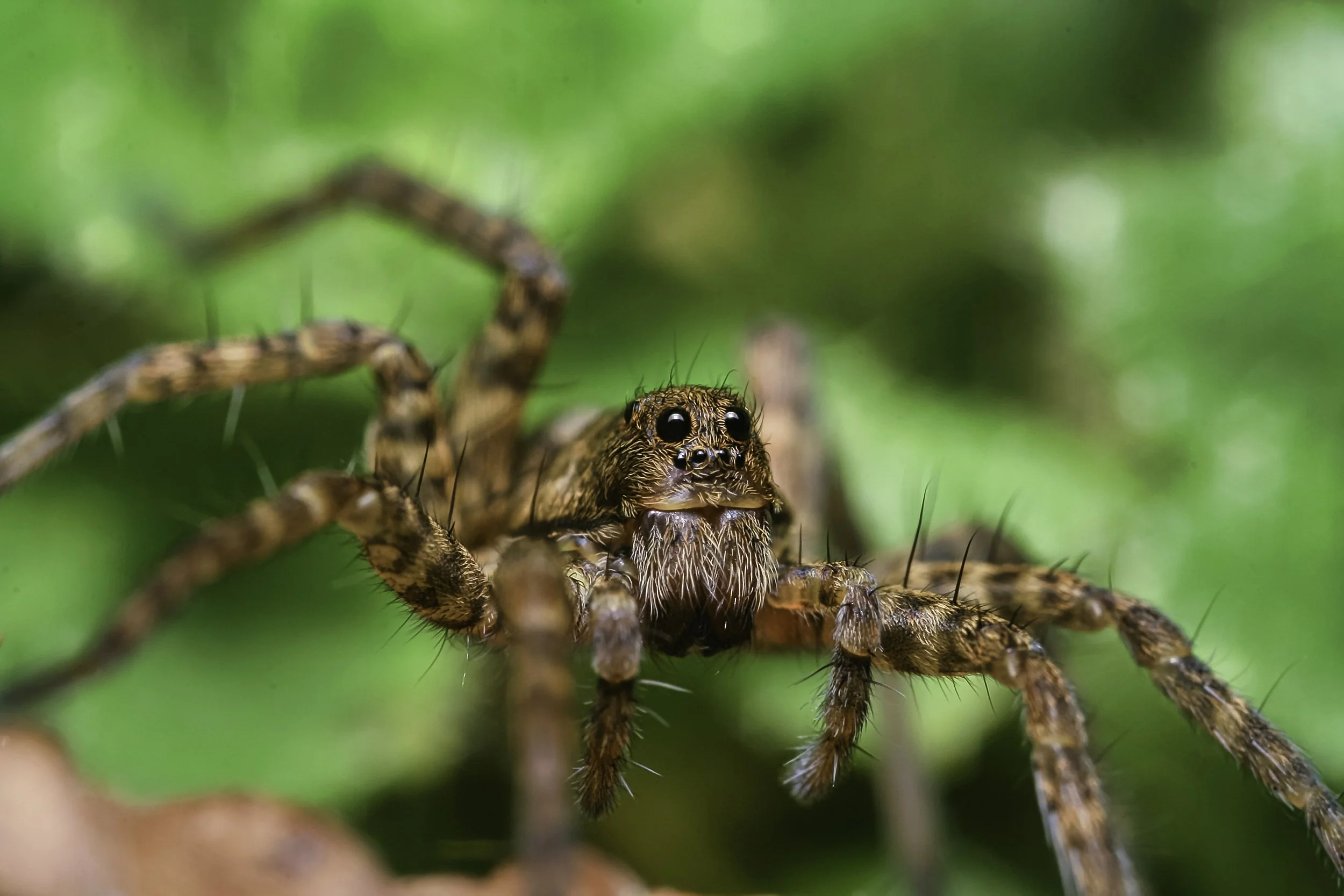 IMG_8442-Modifier copie.jpg