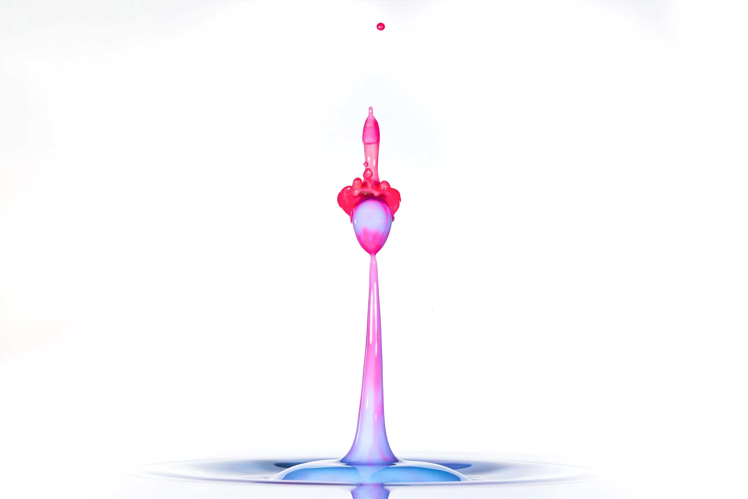 396A0181-Avec accentuation-Bruit-Modifier.jpg