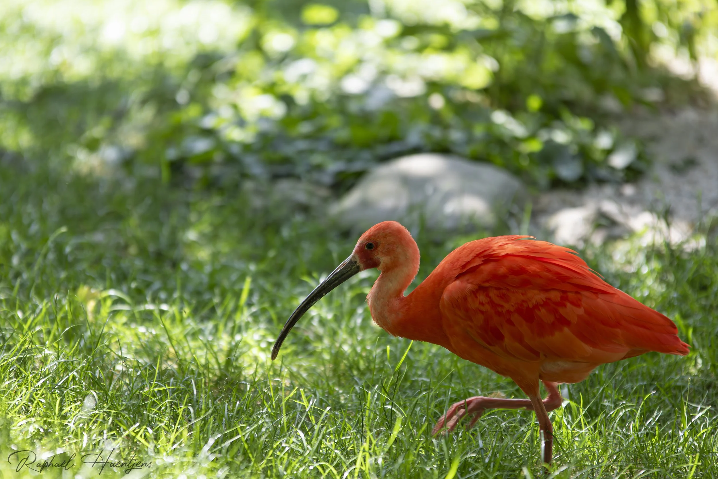 _AF_5098-Avec accentuation-Bruit copie.jpg