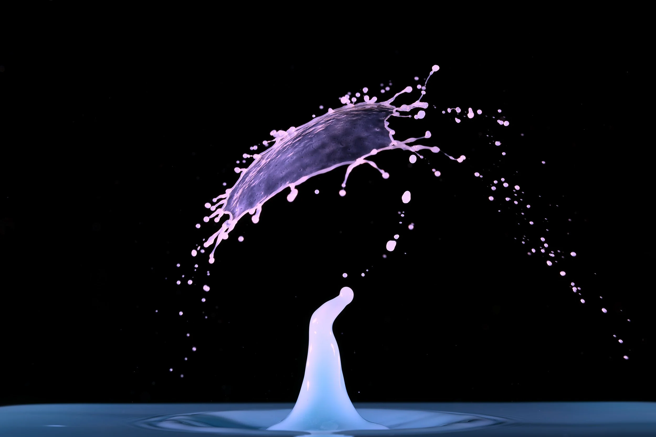 396A9567-Avec accentuation-Bruit-Modifier.jpg