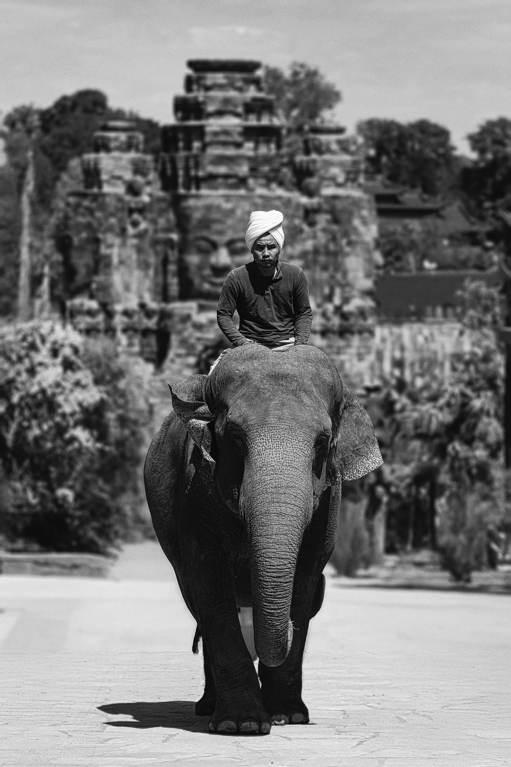 _AF_5238-Modifier copie.jpg