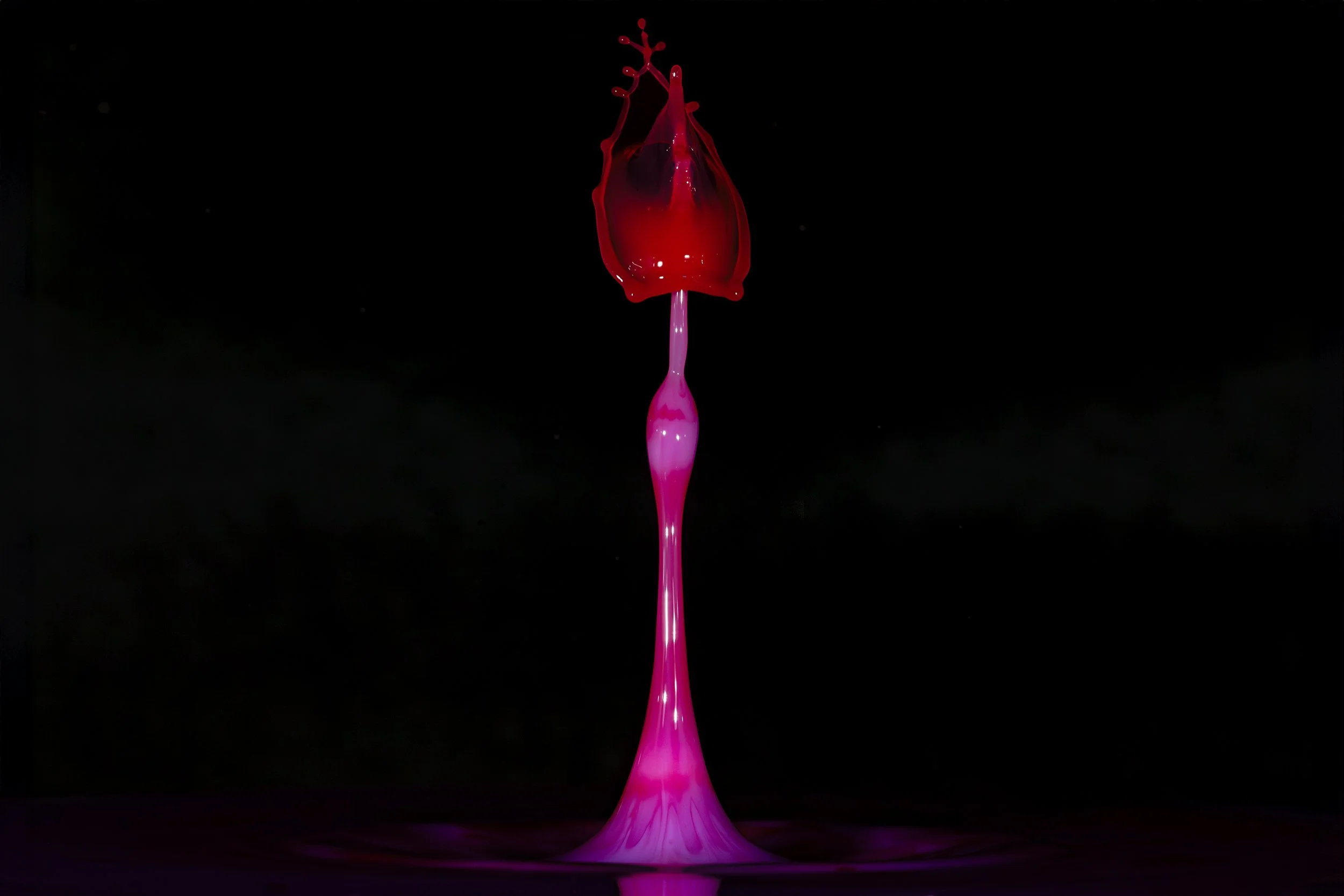 396A9735-Avec accentuation-Bruit-Modifier.jpg