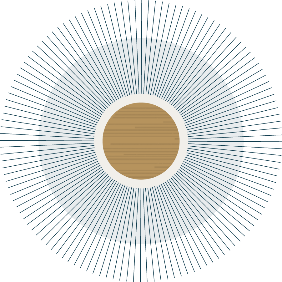 Executive search and career coaching