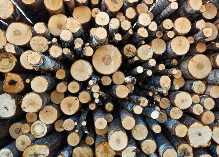 A large pile of cut logs stacked efficiently, showing various sizes and wood types.