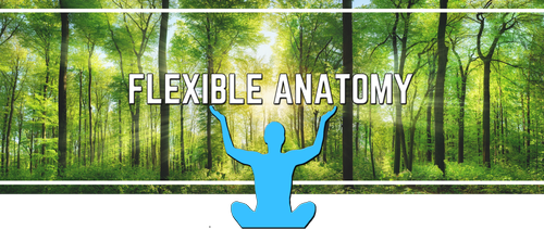 Flexible Anatomy