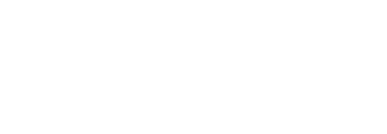 THE GREEN MOTORS &amp; TRADING