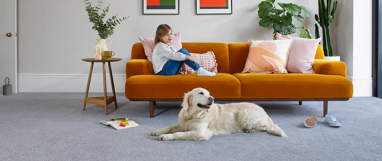Stain Free Carpets, Easy Clean Carpets, Bedroom Carpet, Lounge Carpet, Hall Carpet, Bristol Carpets, Bristol Carpet Factory