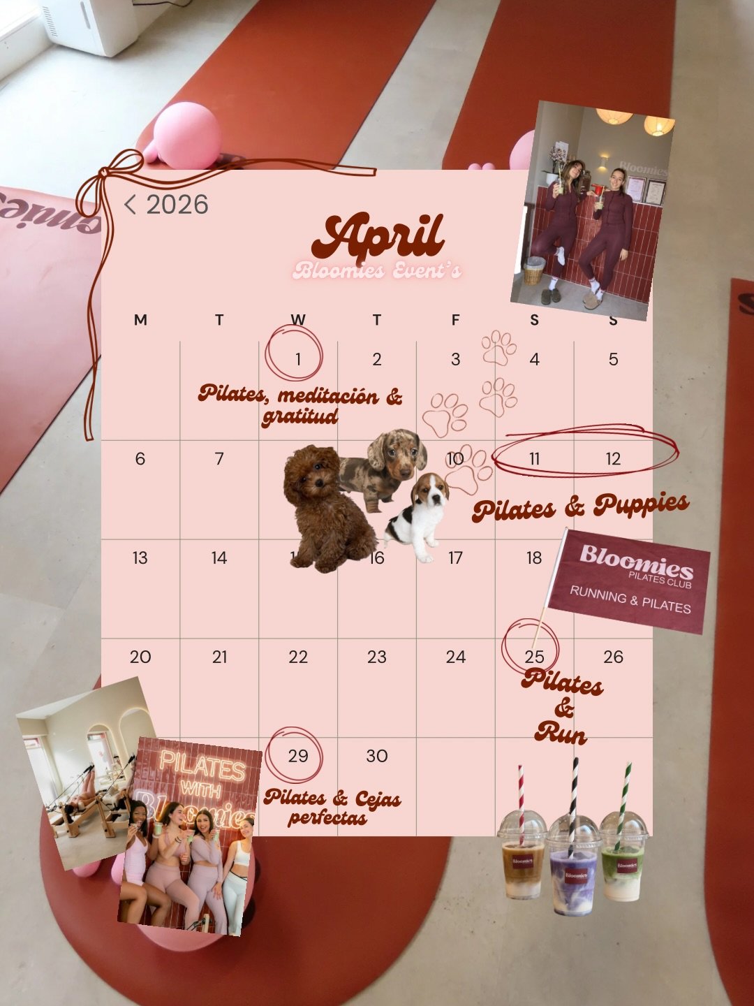 April at Bloomies 🌸✨

Pilates, wellness, community &amp; feel-good plans in M&aacute;laga
From Pilates &amp; Puppies to Pilates &amp; Running Club and beauty experiences&hellip;

The perfect plan to move your body, reset and meet new people 🧘&zwj;♀