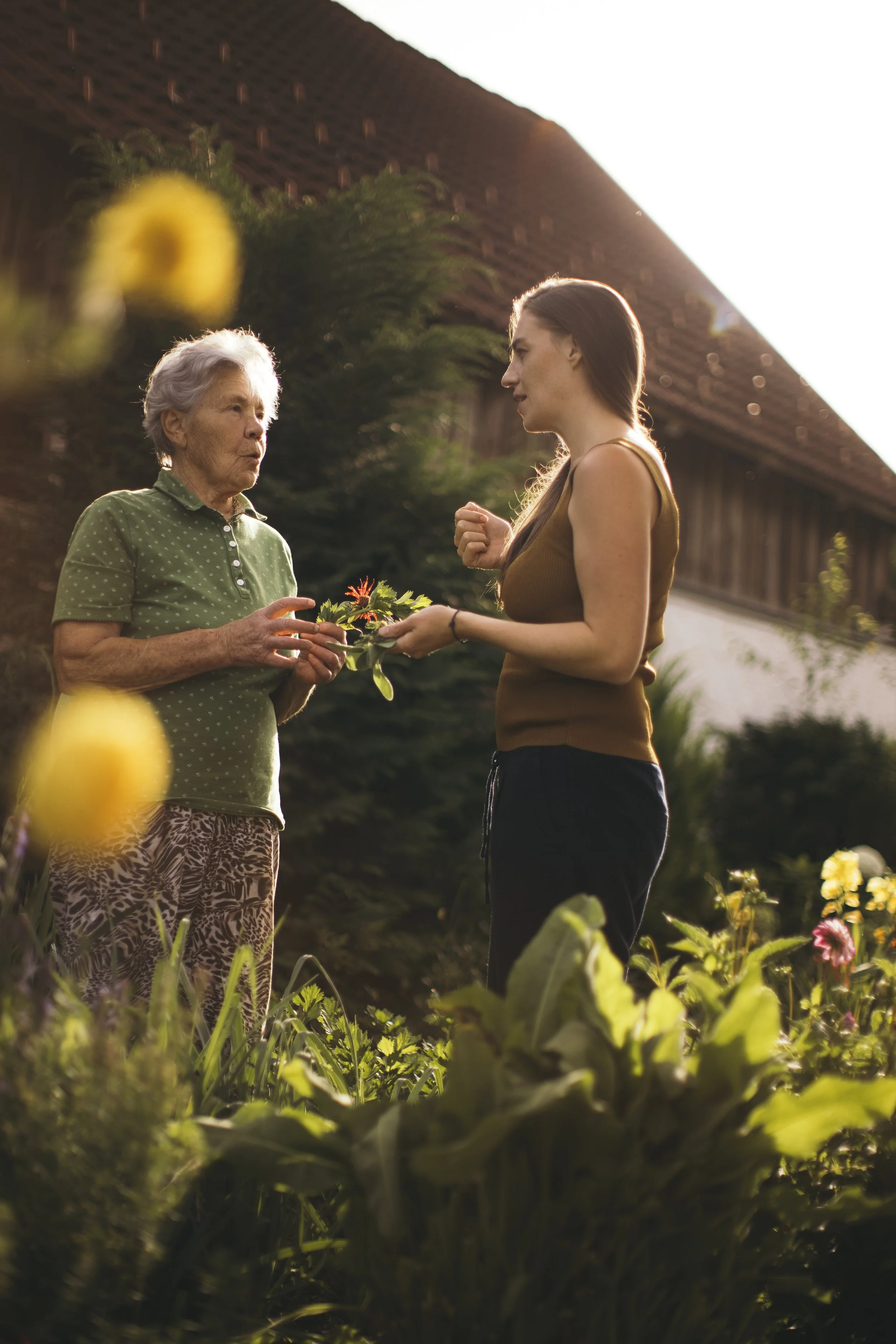 Eine ältere Frau und eine junge Frau stehen im Garten, die ältere Frau hält eine Pflanze und die junge Frau hört zu. Es ist Sonnenuntergang.