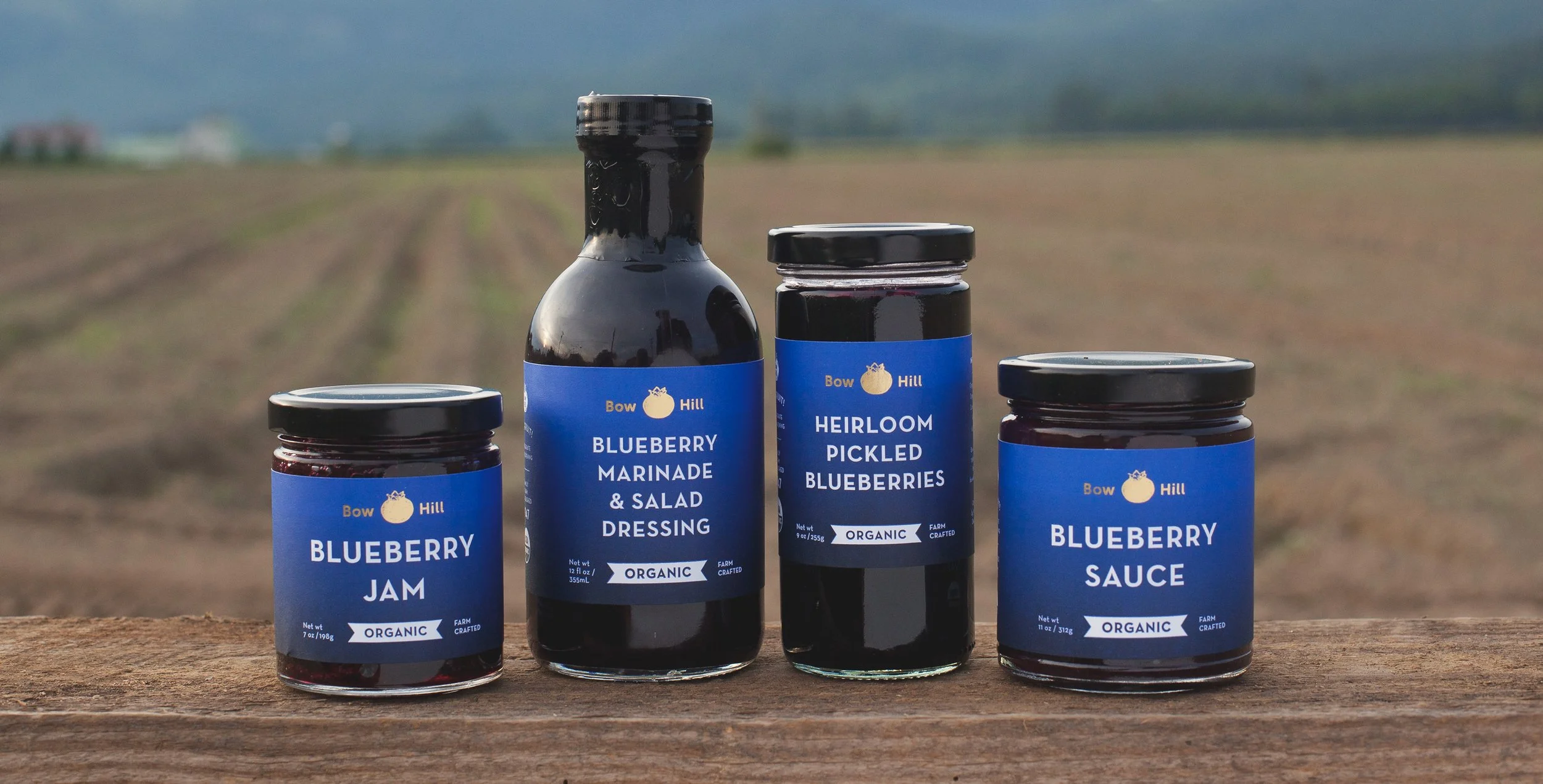 Four jars and one bottle of bluebberry products, including jam, salad dressing, pickled bluebberries, and sauce, on a wooden surface outdoors with blurred field background.