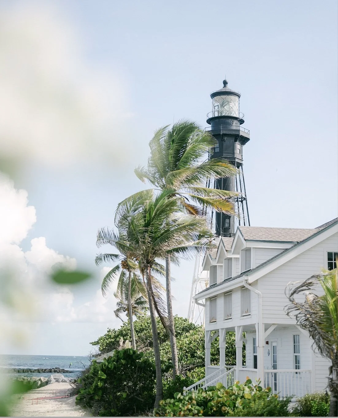 A lighthouse with a black tower and white top, surrounded by palm trees and beachfront vegetation, on a clear day near the ocean.