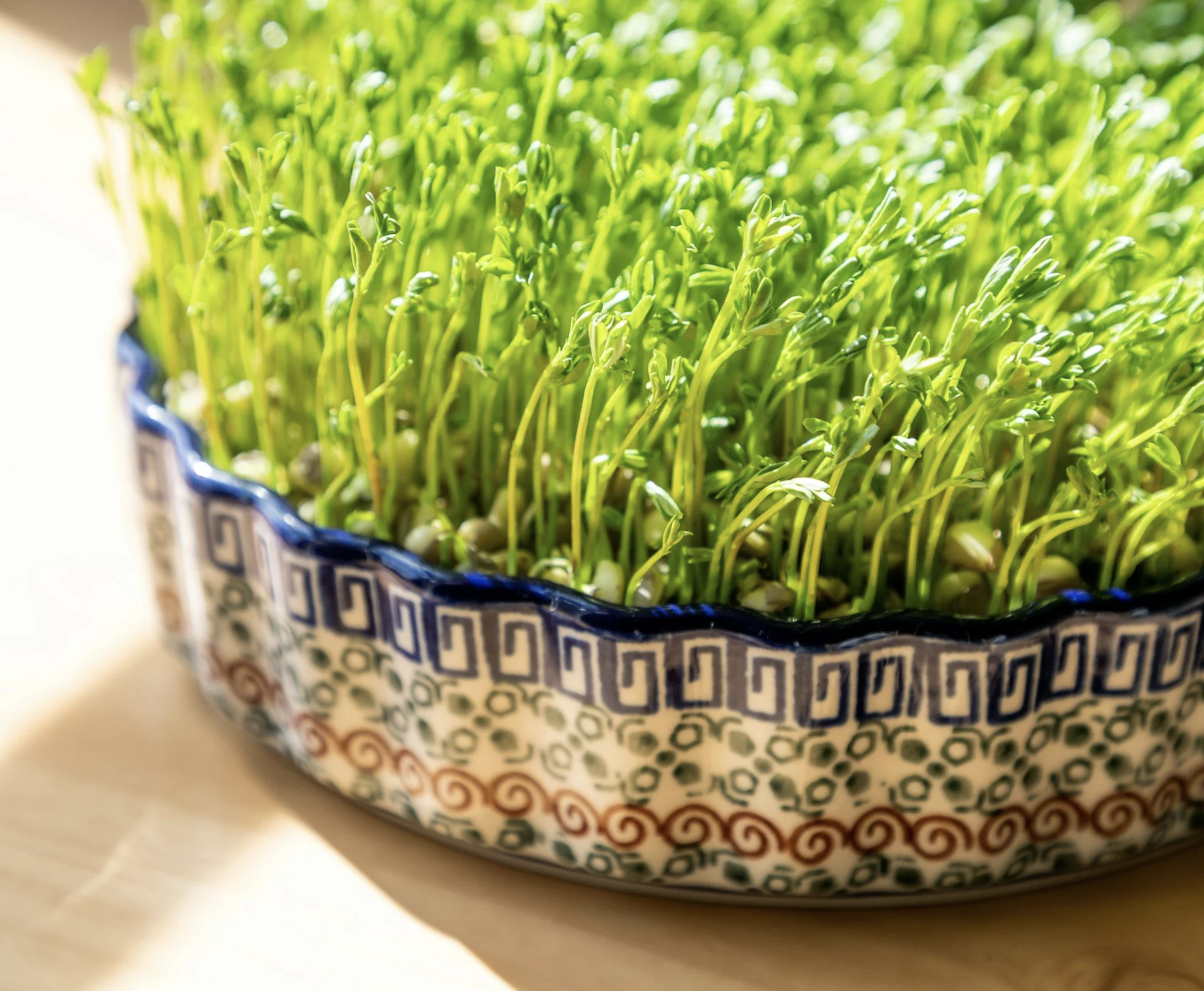 Screenshot 2026-03-02 at 14.58.49.png