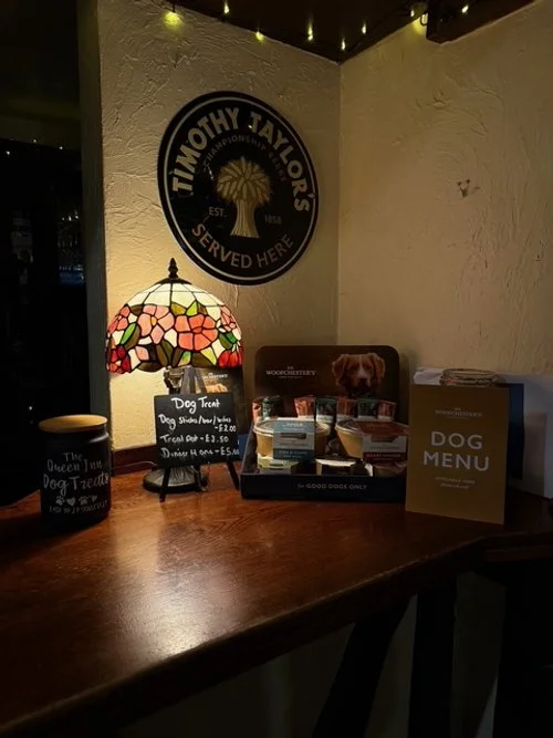 A wooden table with a colorful stained glass lamp, a dog treat display, and a dog menu at a cafe or restaurant. A Timmy Taylor's sign is on the wall behind.
