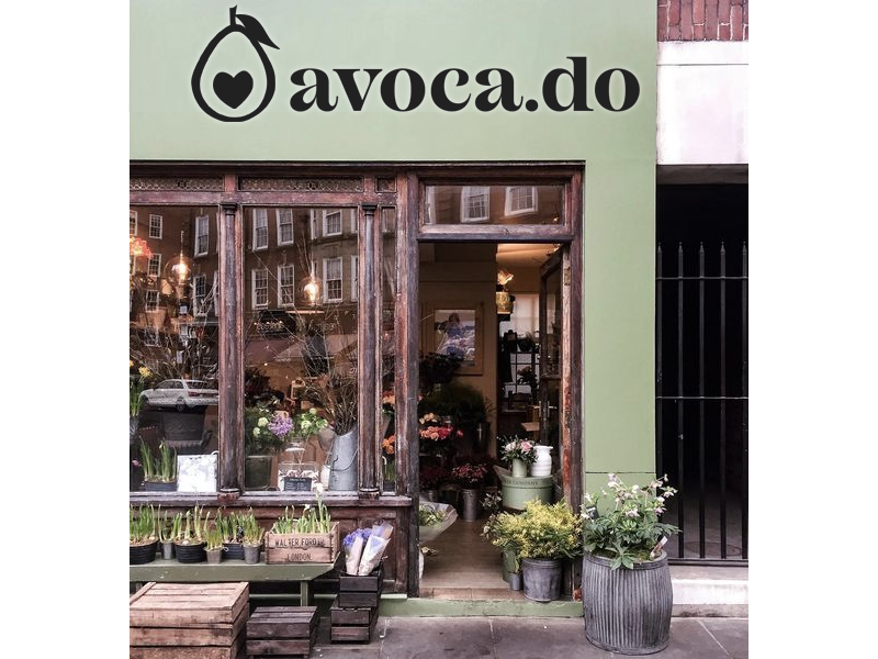 Assortiment de plats végétariens et vegan à base d'avocat pour coffee shop : toasts, bowls et salades colorées, présentant la carte veggie centrée sur l'avocat.