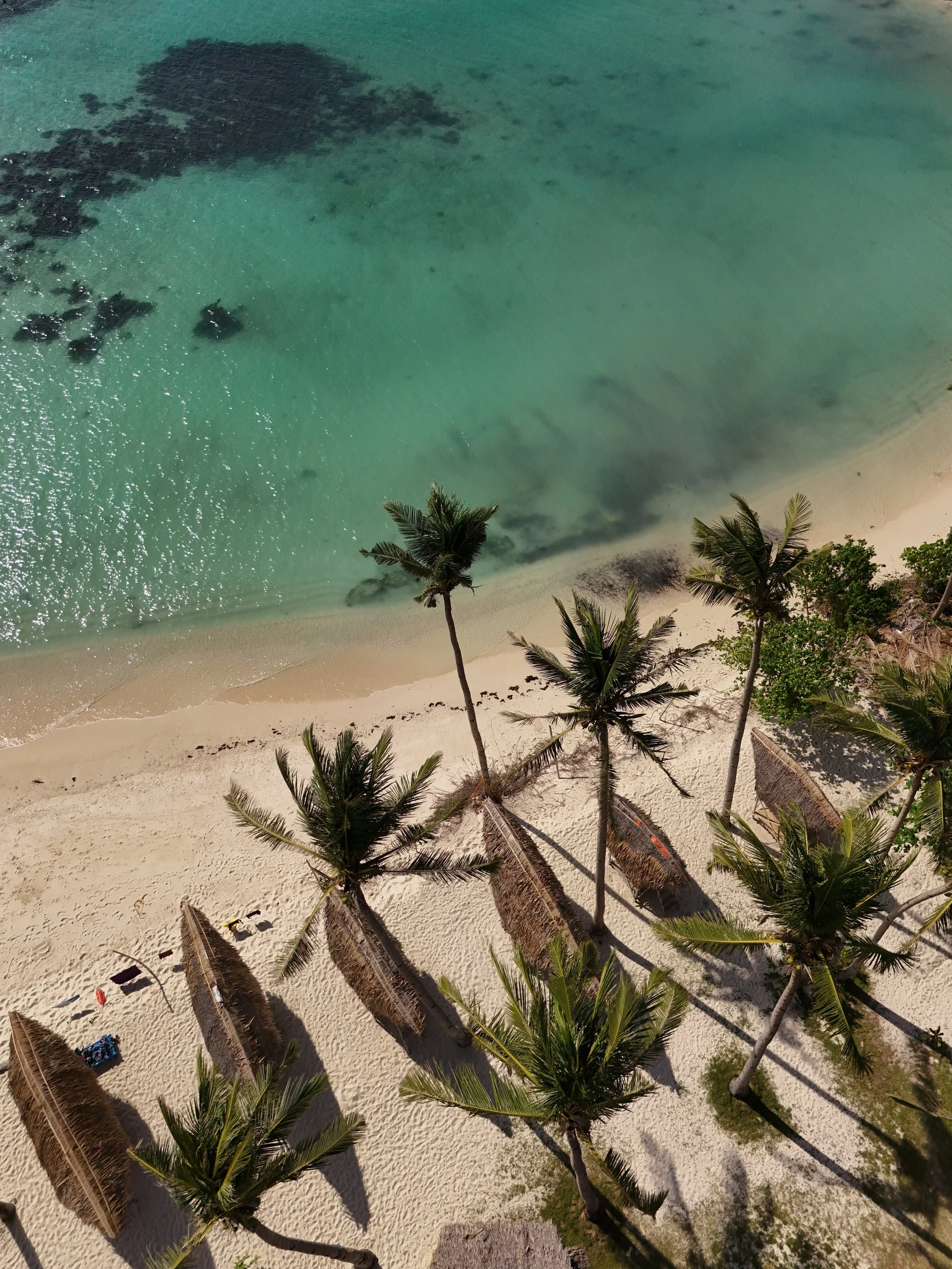 dji_fly_20250504_155606_0714_1766832024092_photo.jpg