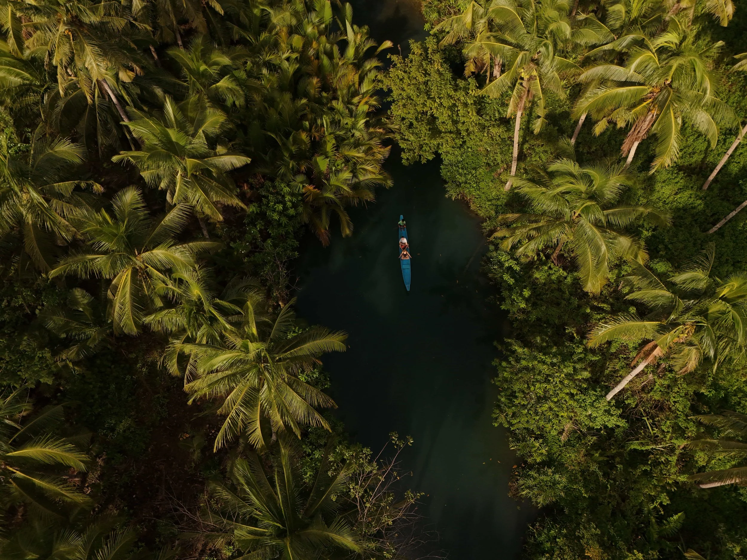 dji_fly_20251215_145116_0497_1765959775699_photo.jpg