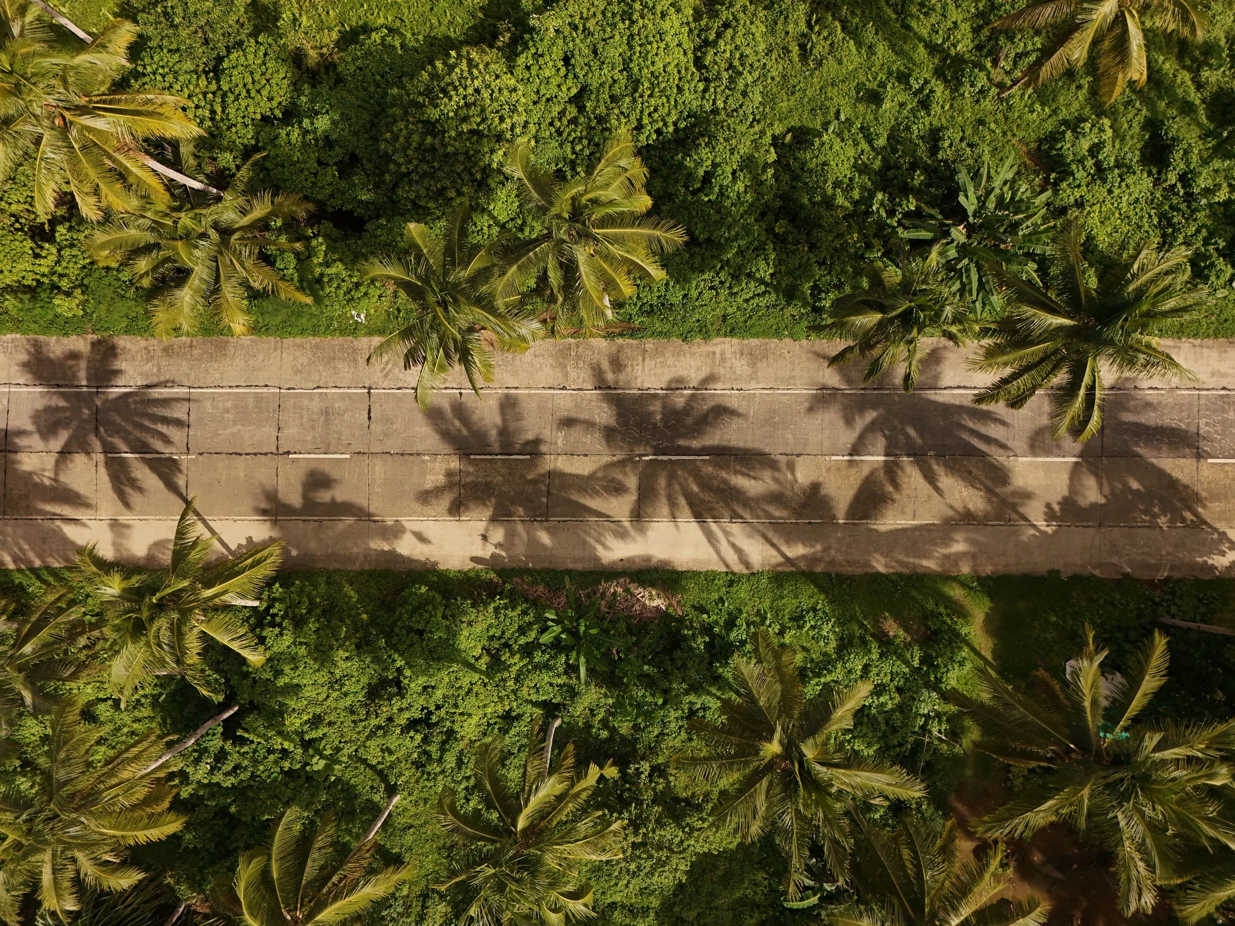 dji_fly_20251215_134446_0450_1765959985745_photo.jpg