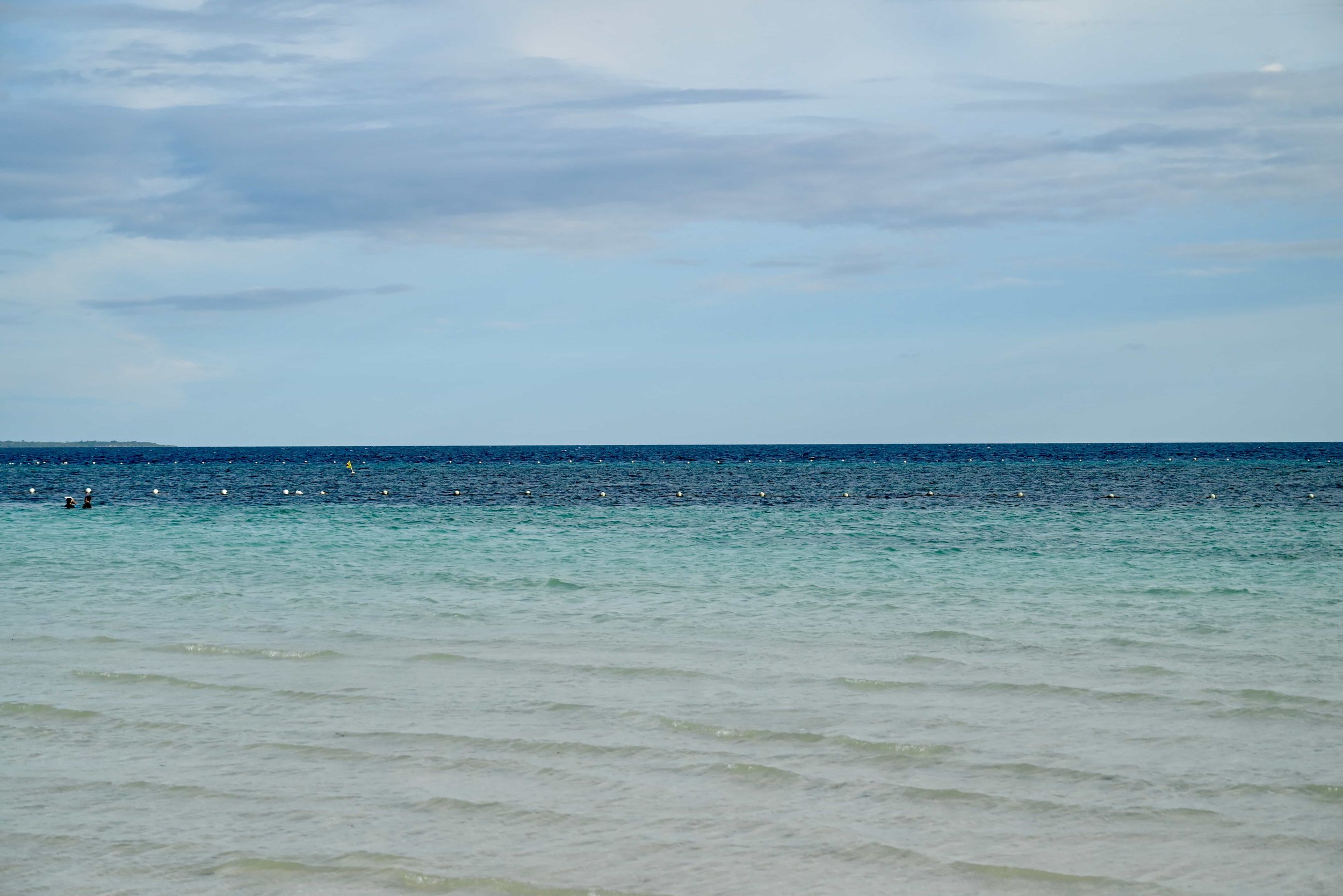 DSC_6027.jpg
