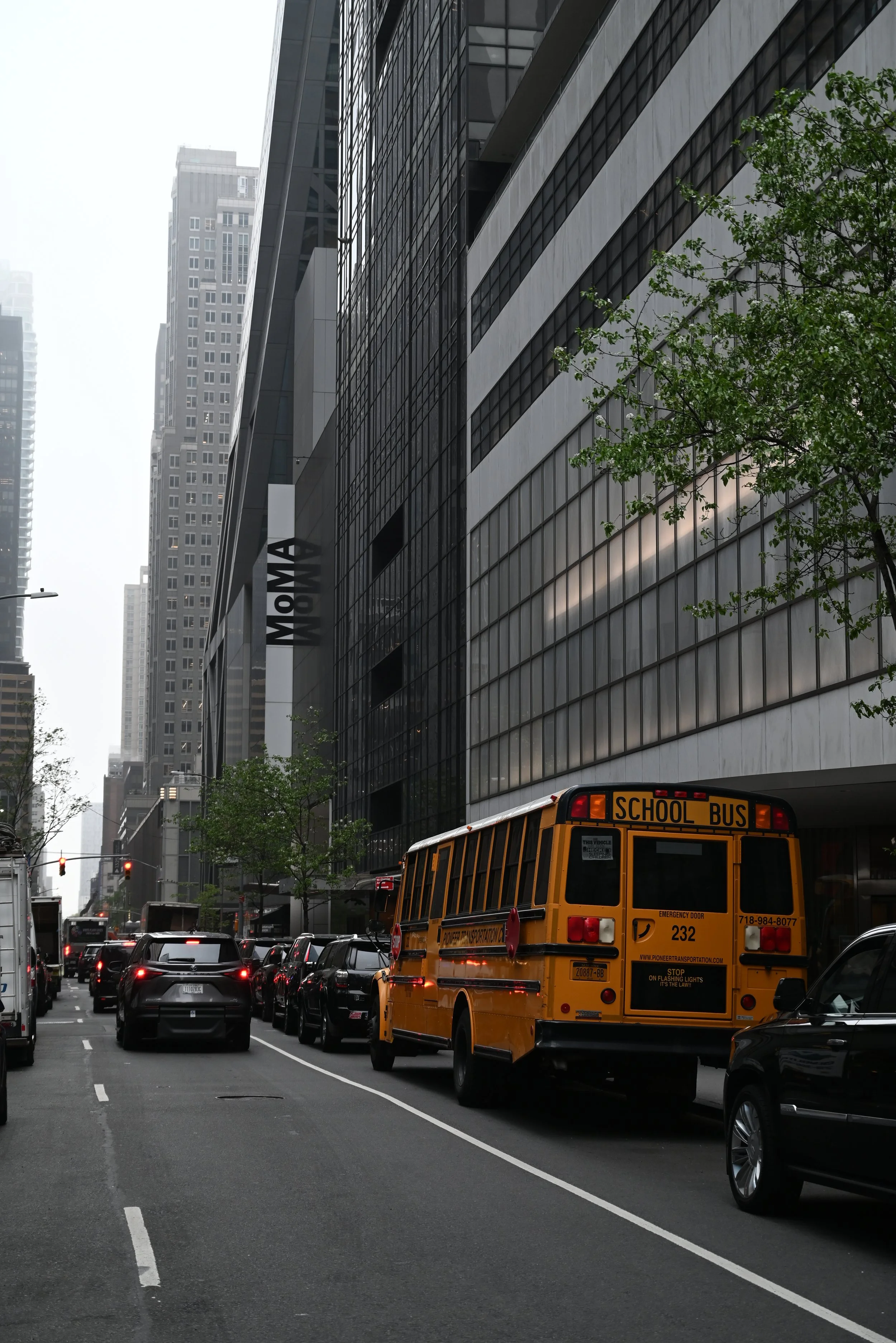 DSC_2701.JPG