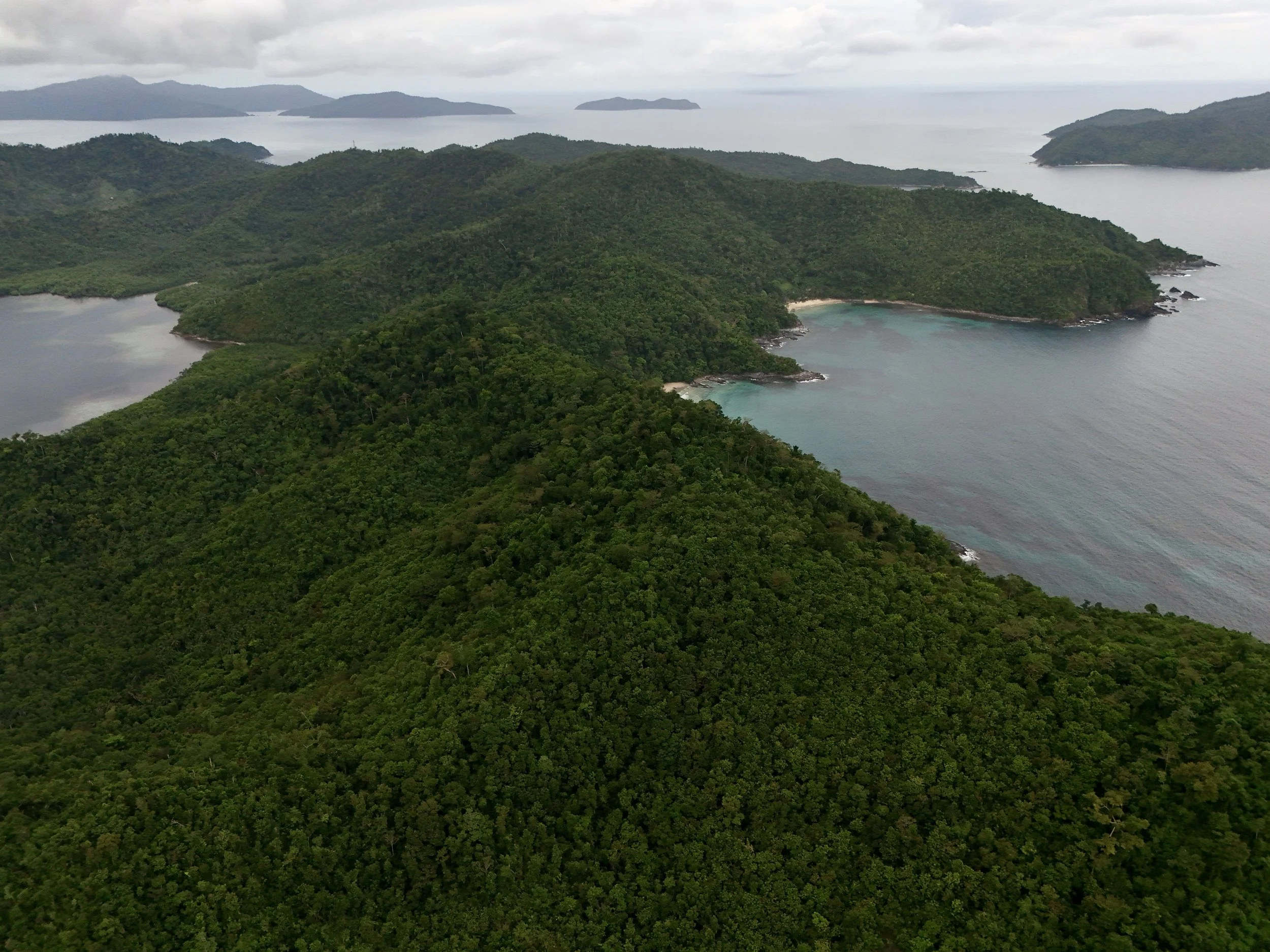 dji_fly_20250501_131302_0633_1766200549157_photo.jpg