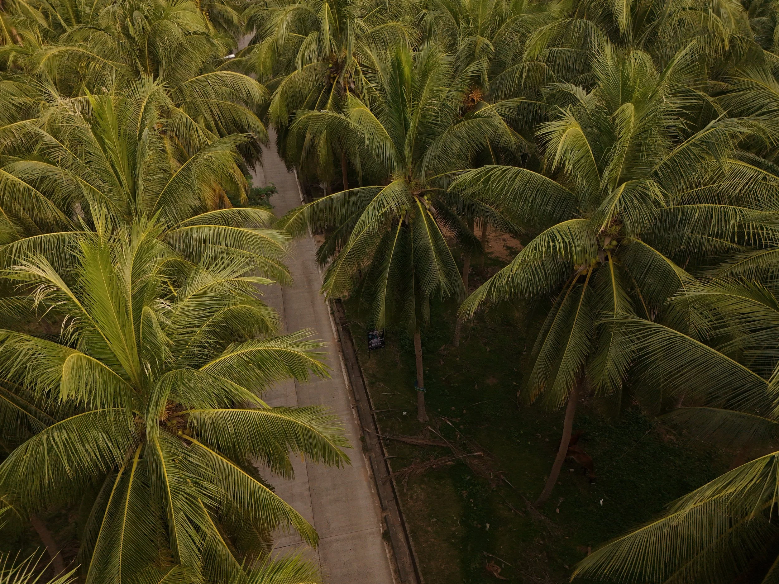 dji_fly_20250518_184528_0978_1767808287189_photo.jpg