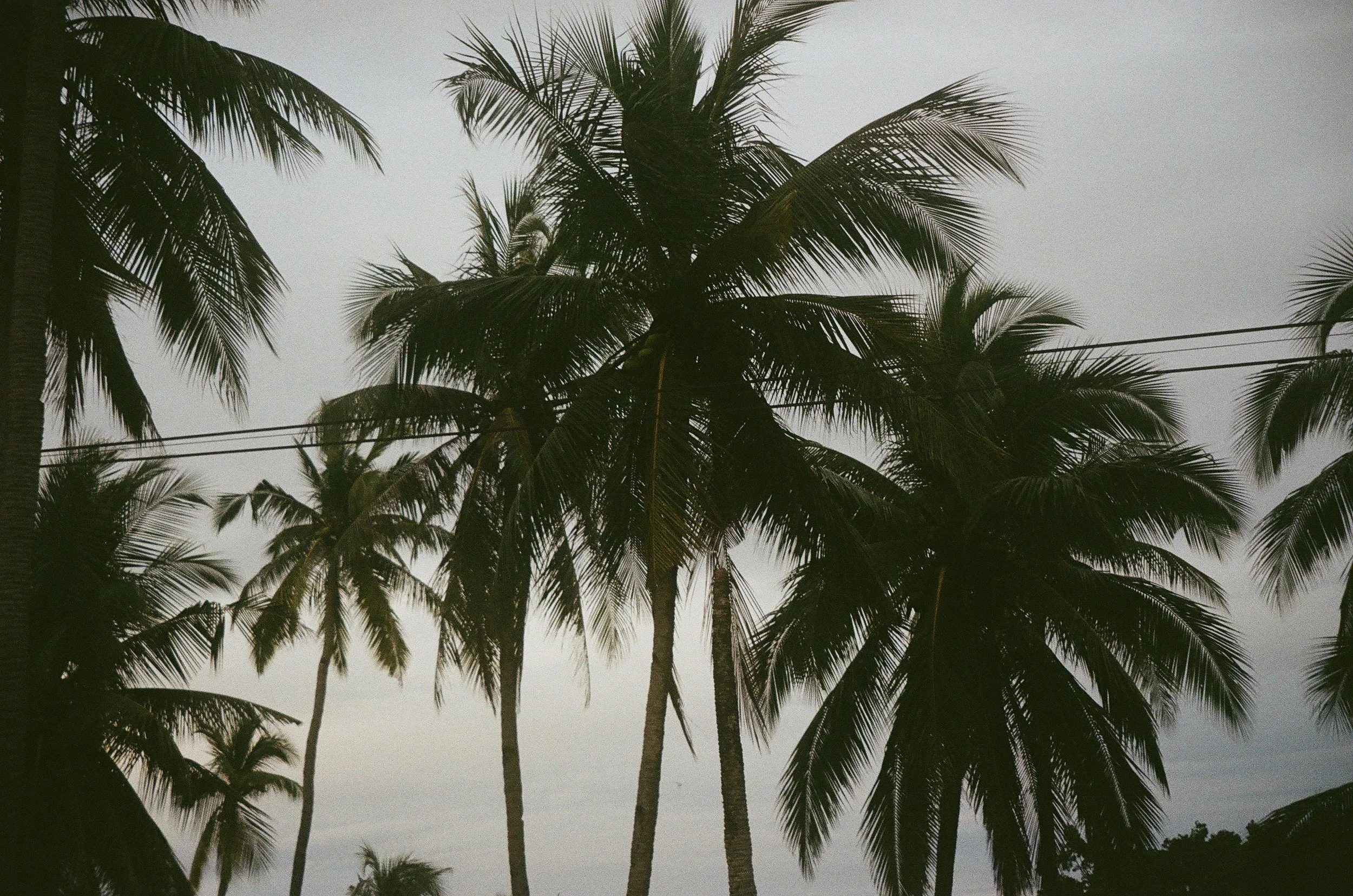000078240016.jpg