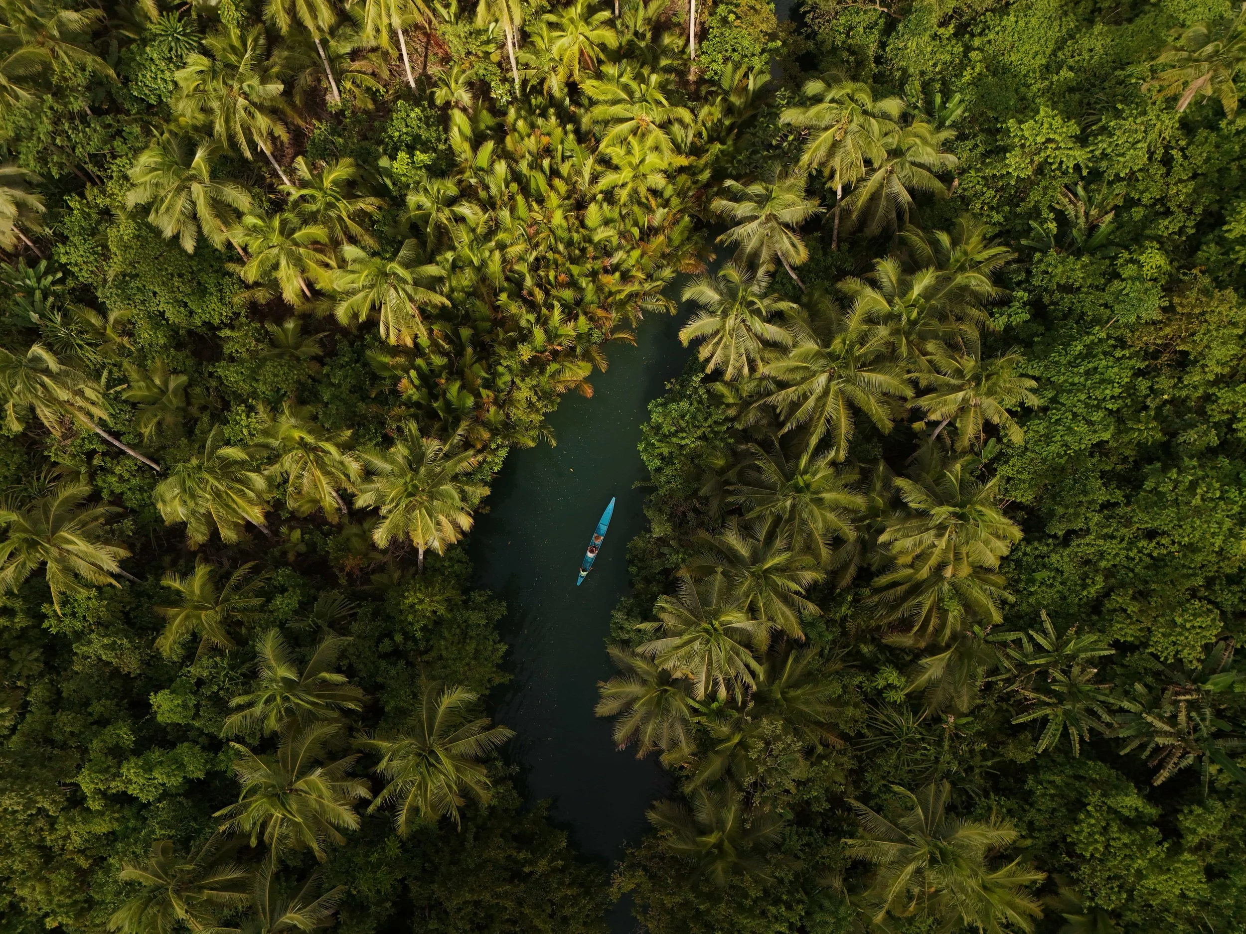 dji_fly_20251215_143038_0481_1765959851547_photo.jpg
