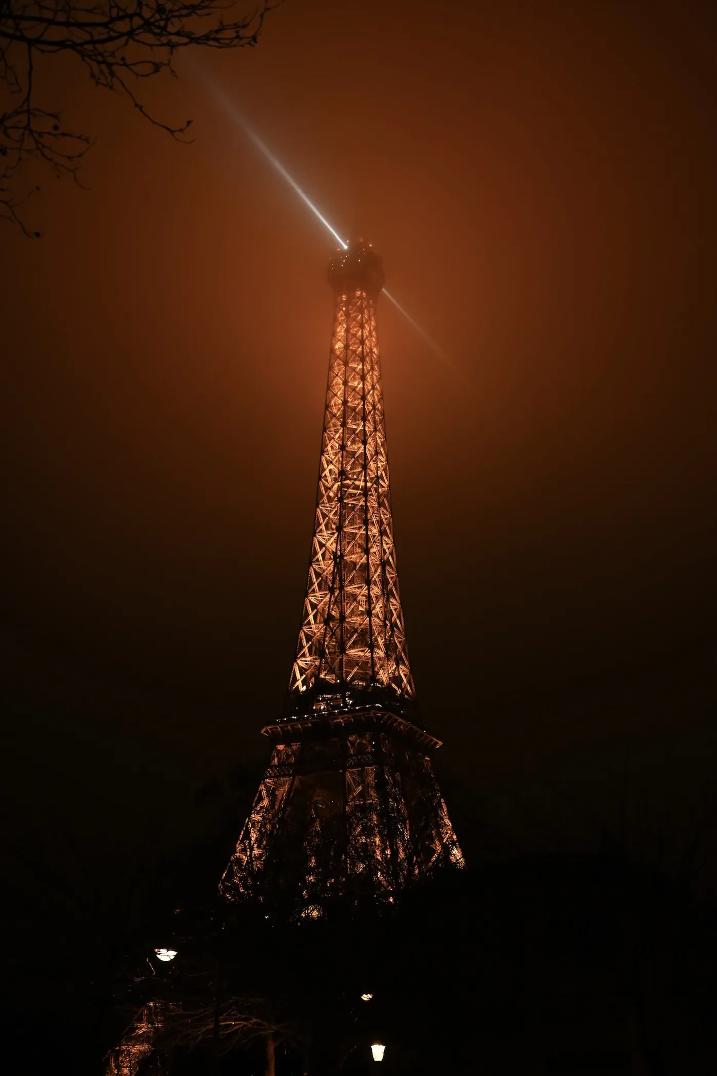 624B2670-7C14-4C39-A5A6-B145C6AD1196_1_102_o.webp