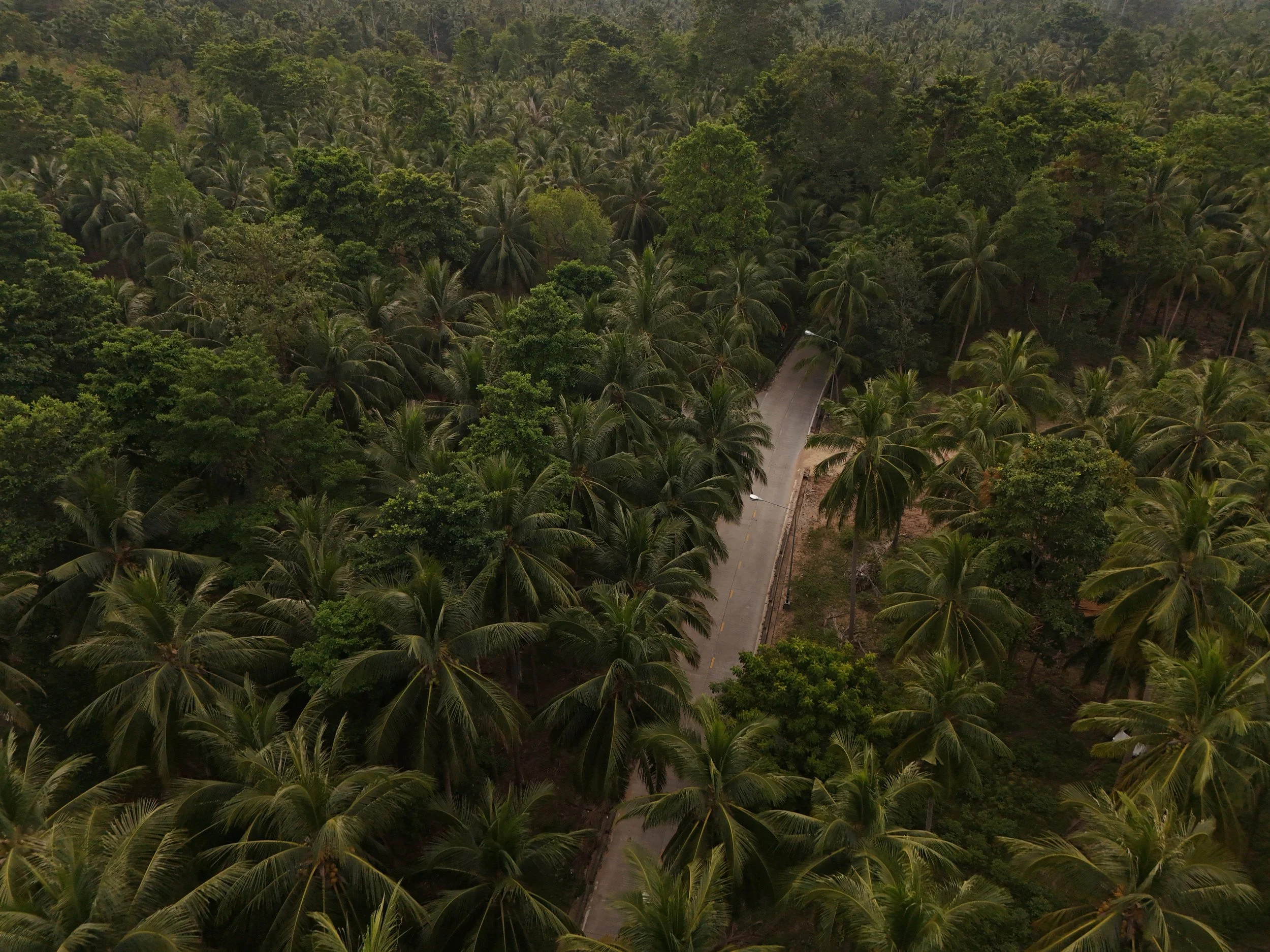 dji_fly_20250518_184750_0982_1767808245870_photo.jpg