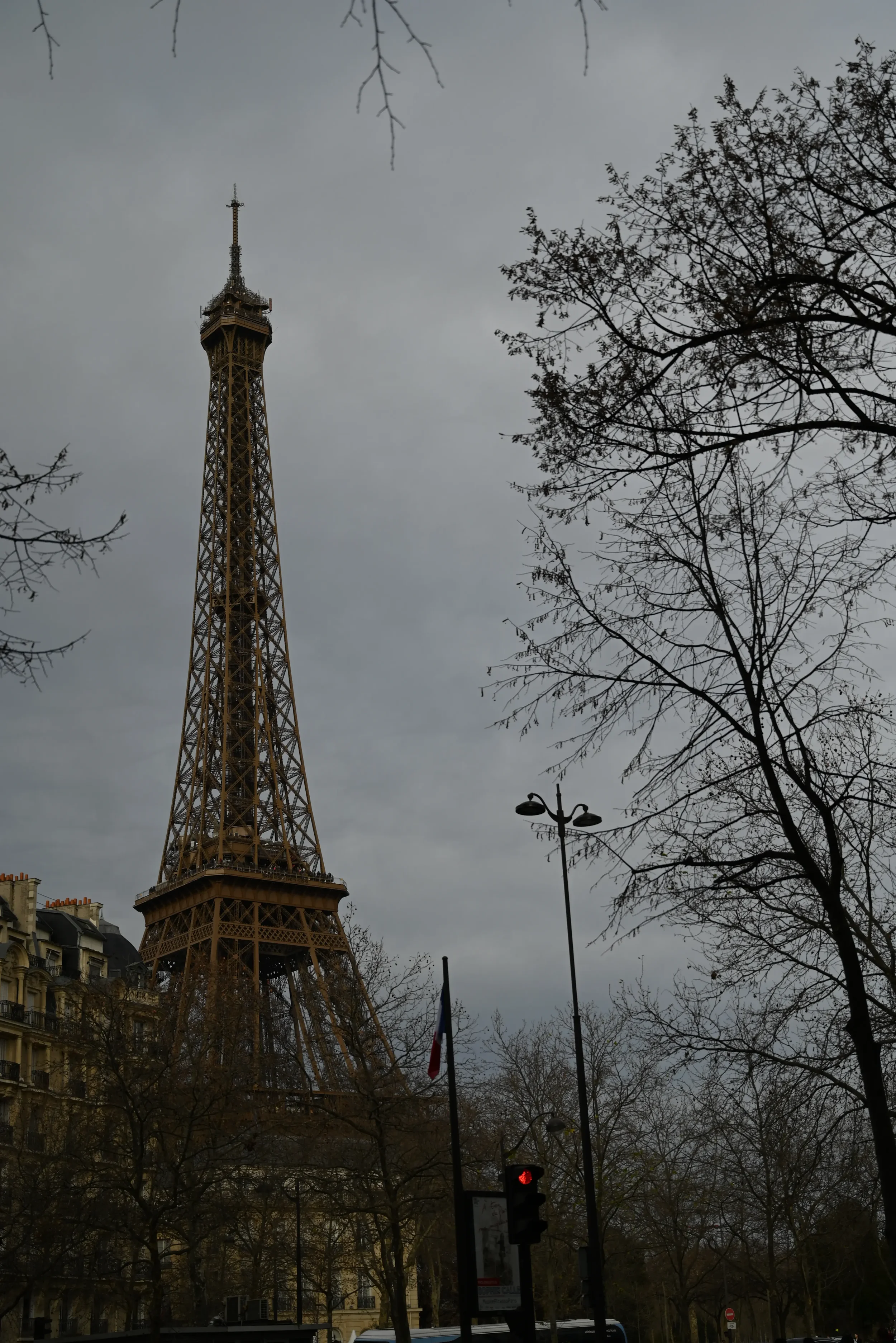 DSC_0378.webp