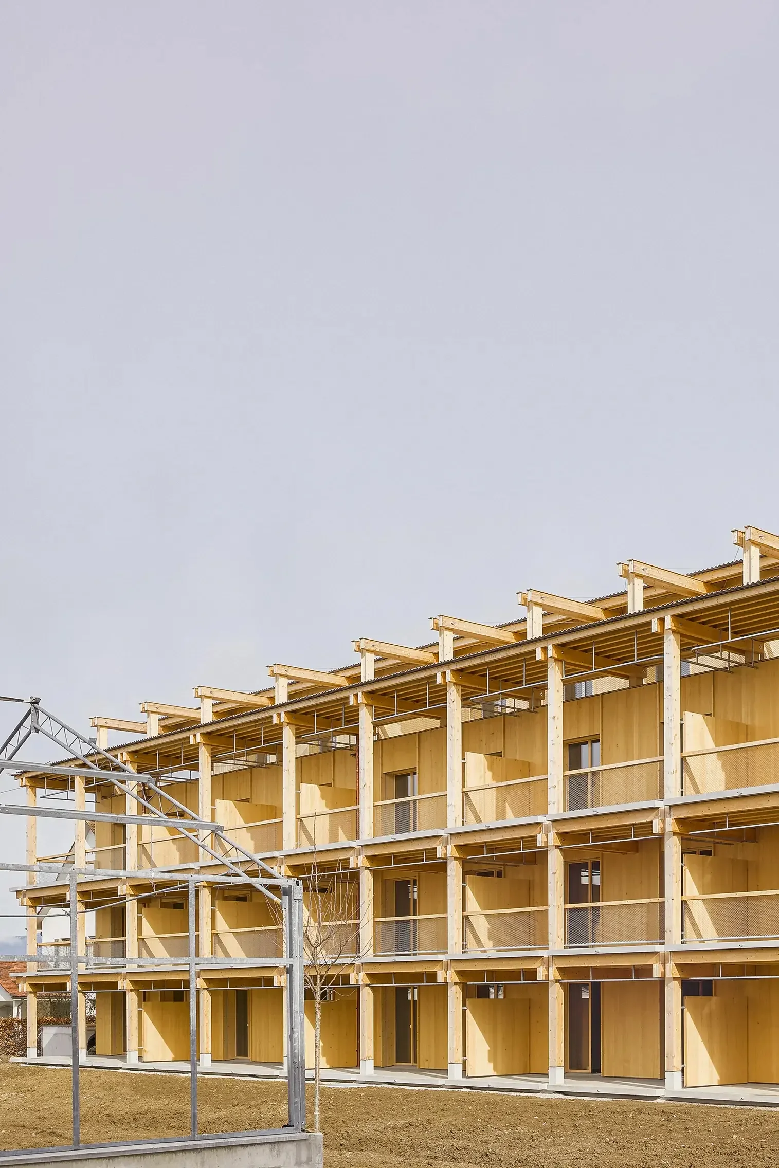 18_Blumenhalle-Häusermann-I_024-web.webp