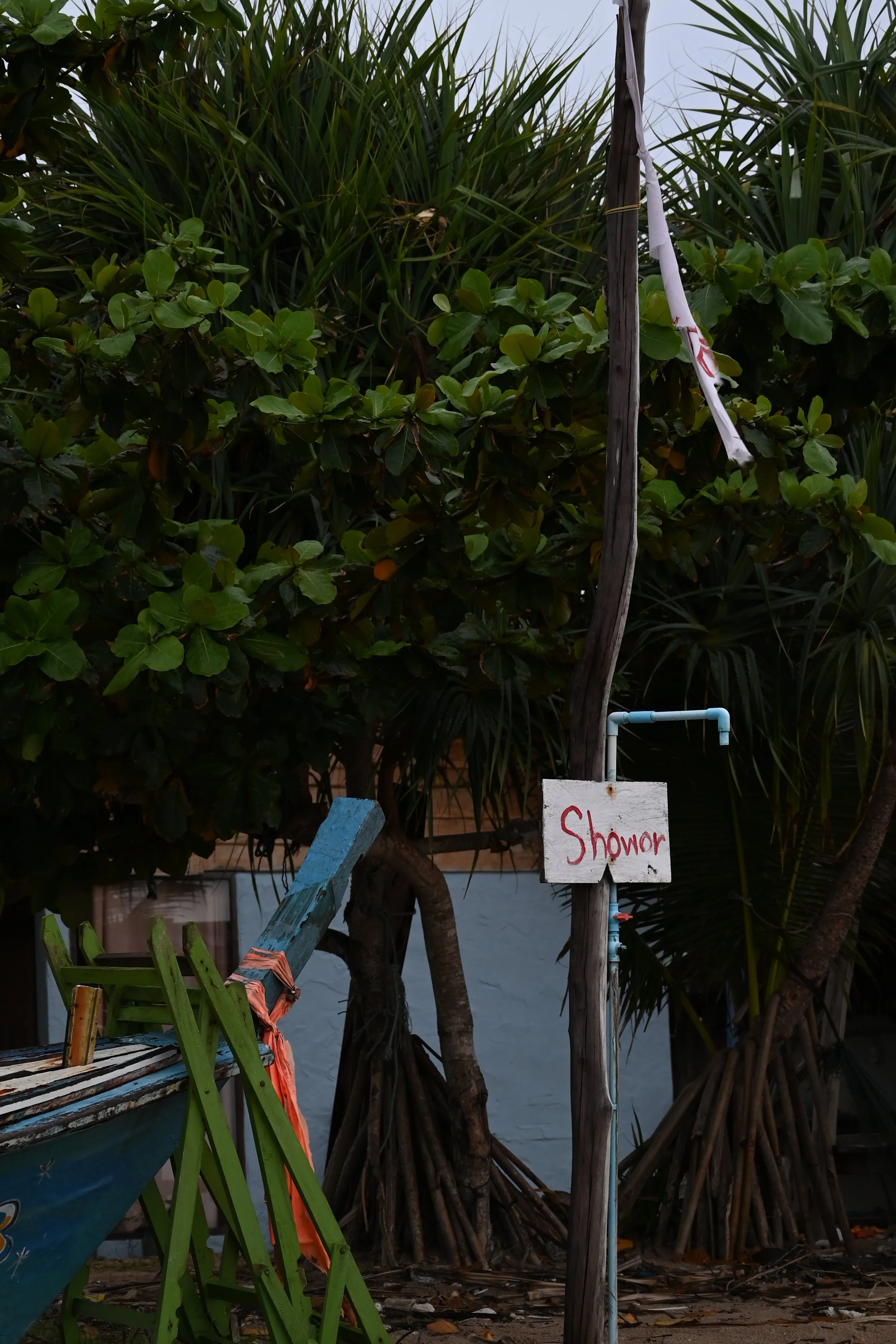 DSC_5085.JPG