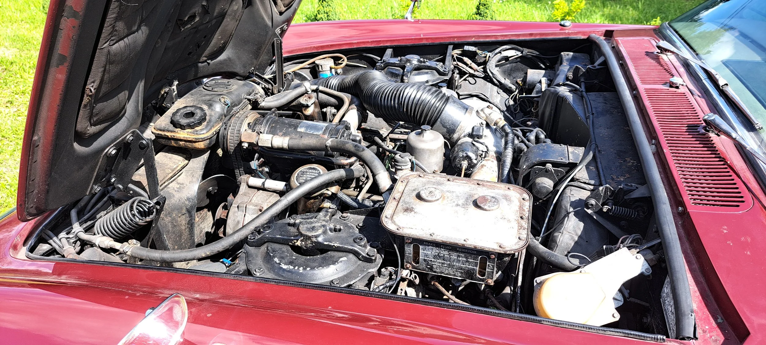 20260809_131257.jpg