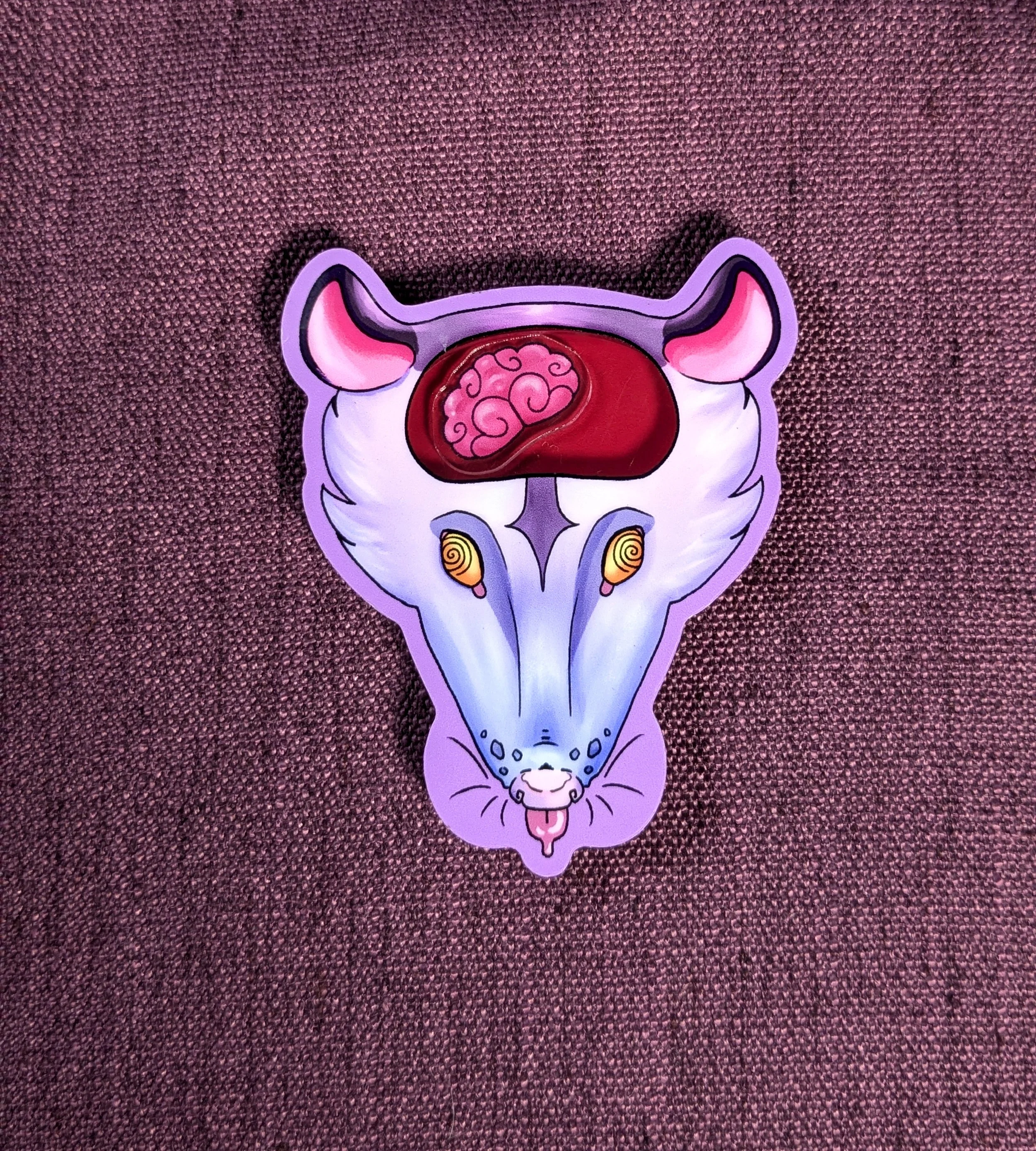 Opossum magnet pic 1.jpg